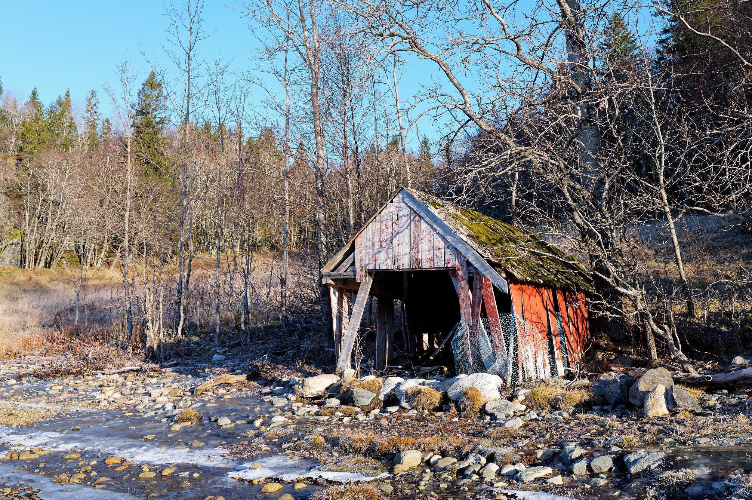 Båtnaust i Svalan