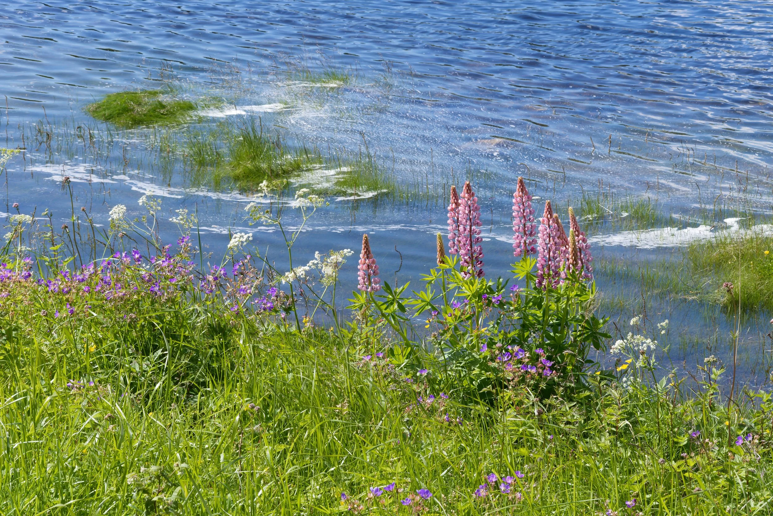 Ved Stordalselven