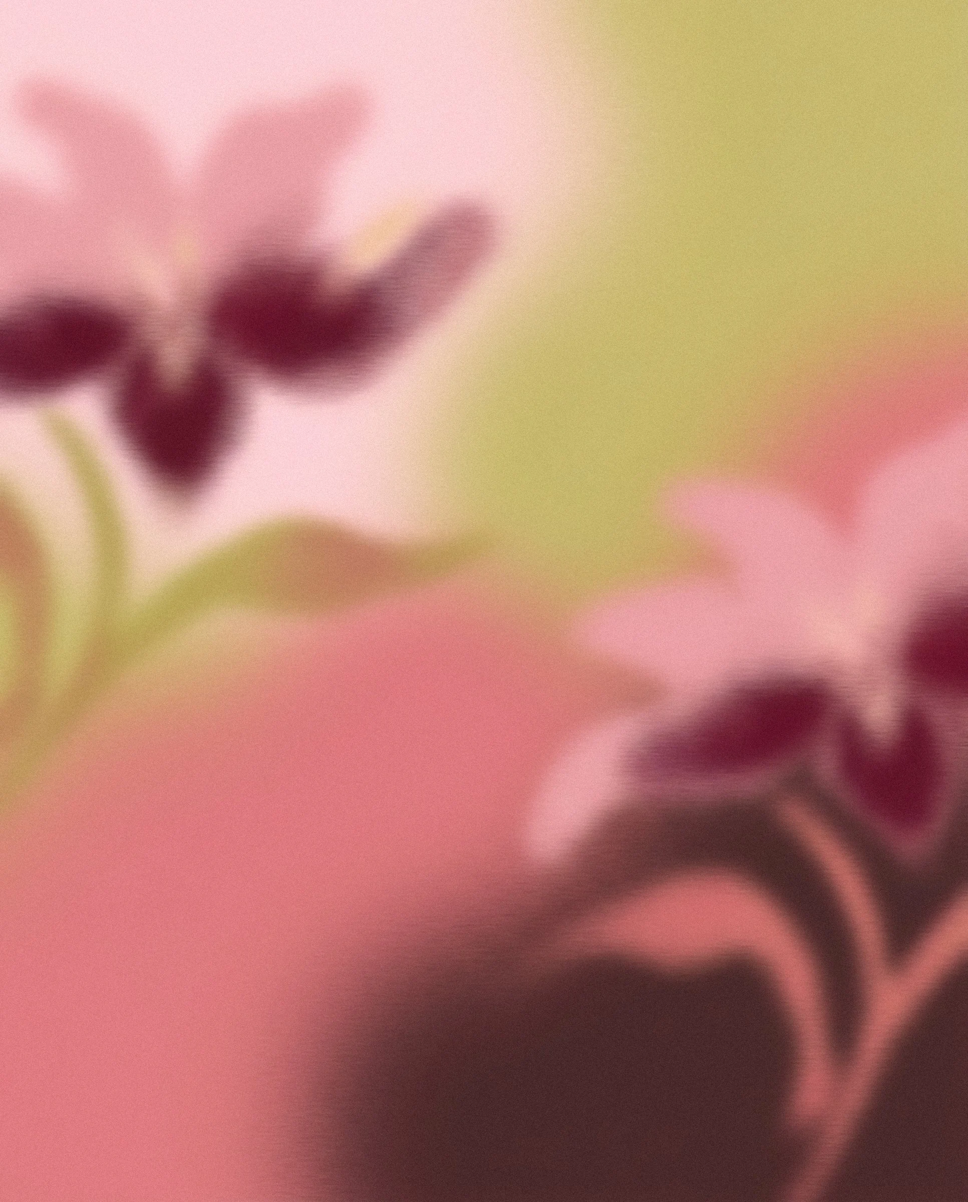 Blurred close-up of a flower on a pink and yellow background.