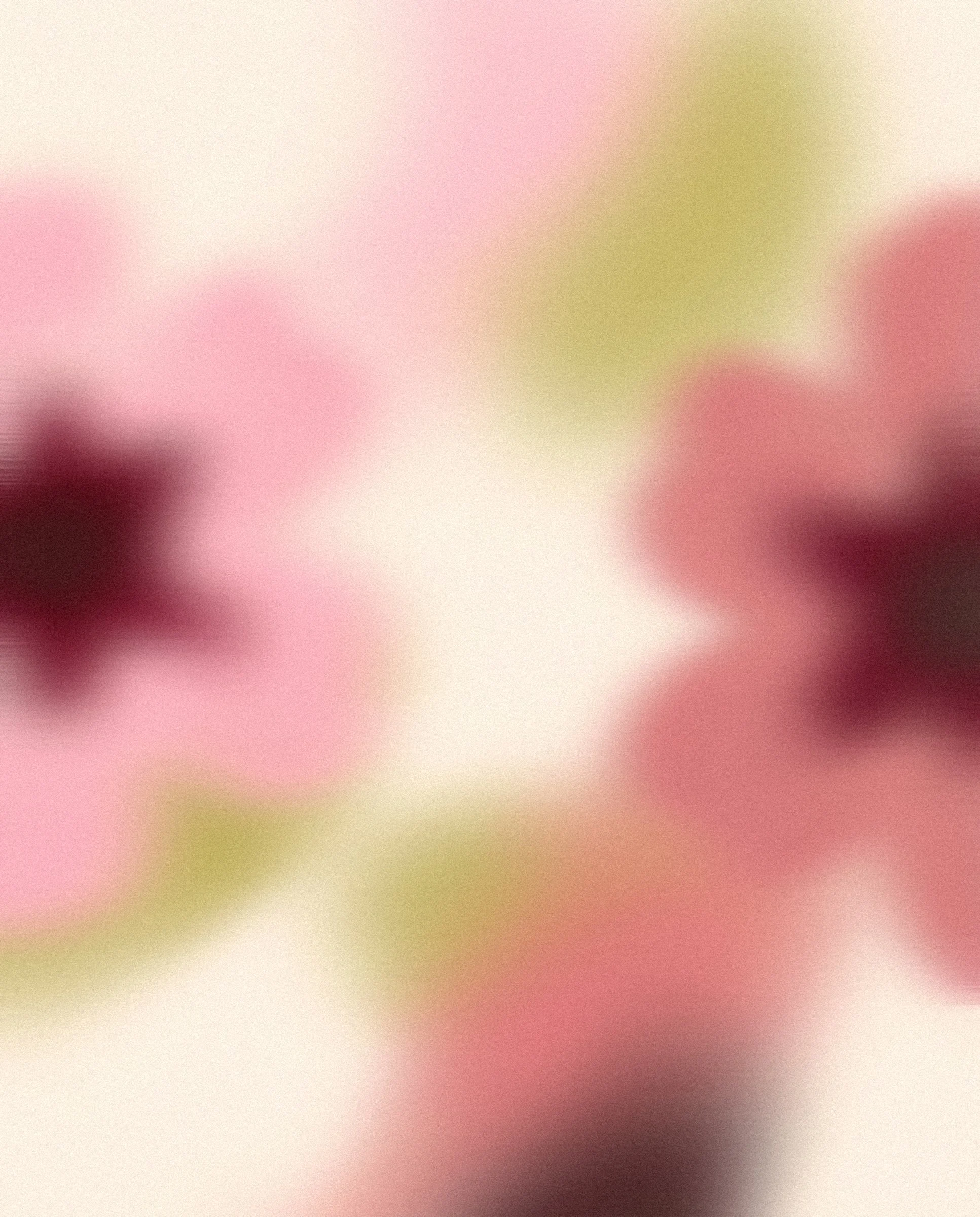 The image is very blurry and out of focus, making it difficult to identify specific objects or details.