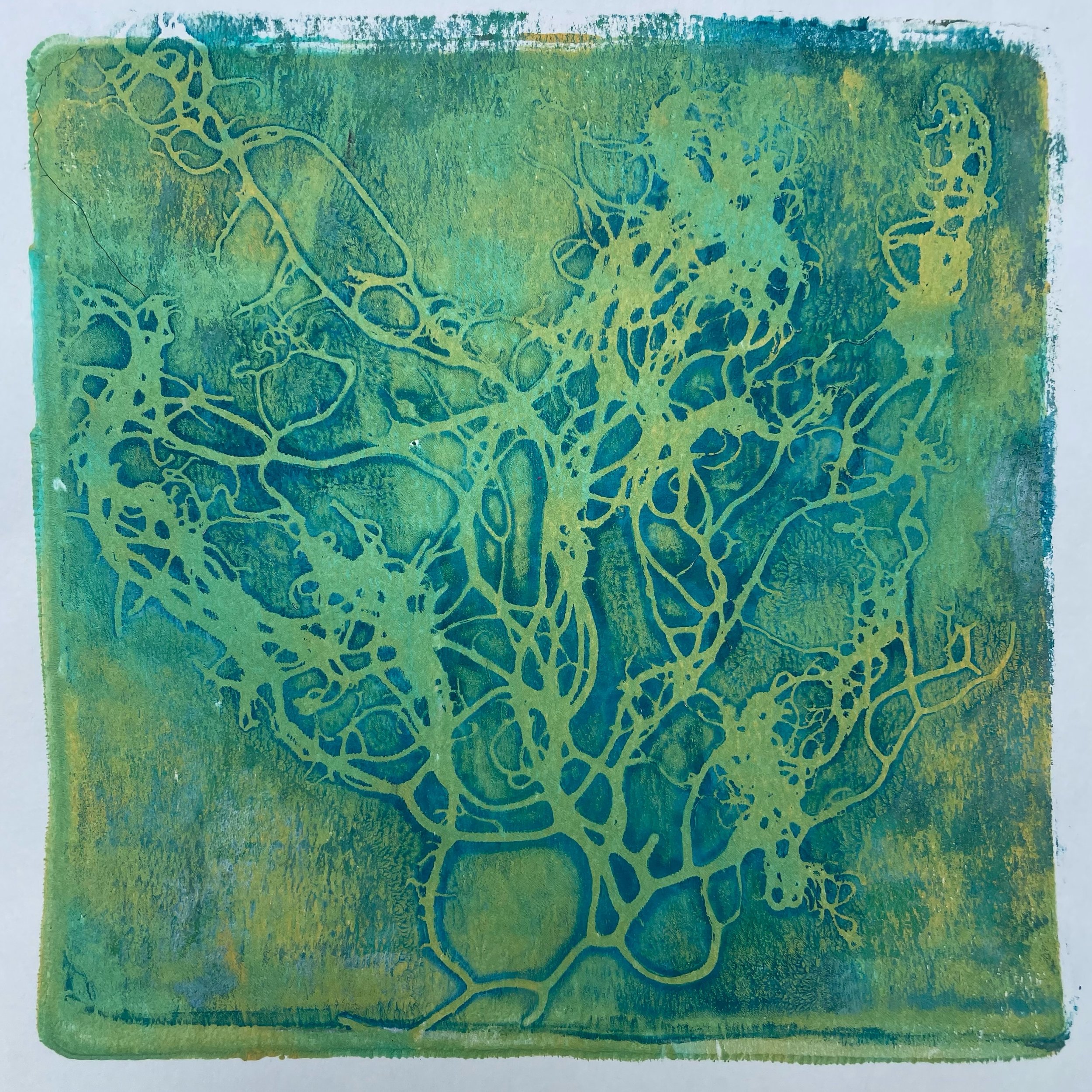 Gone on a well deserved 3 week holiday camping in the mountains. Making some artwork along the way! Here&rsquo;s a sneak peak at some Gelli prints I&rsquo;ve made so far&hellip; and some extra pics of this amazing landscape! A New body of work inspir