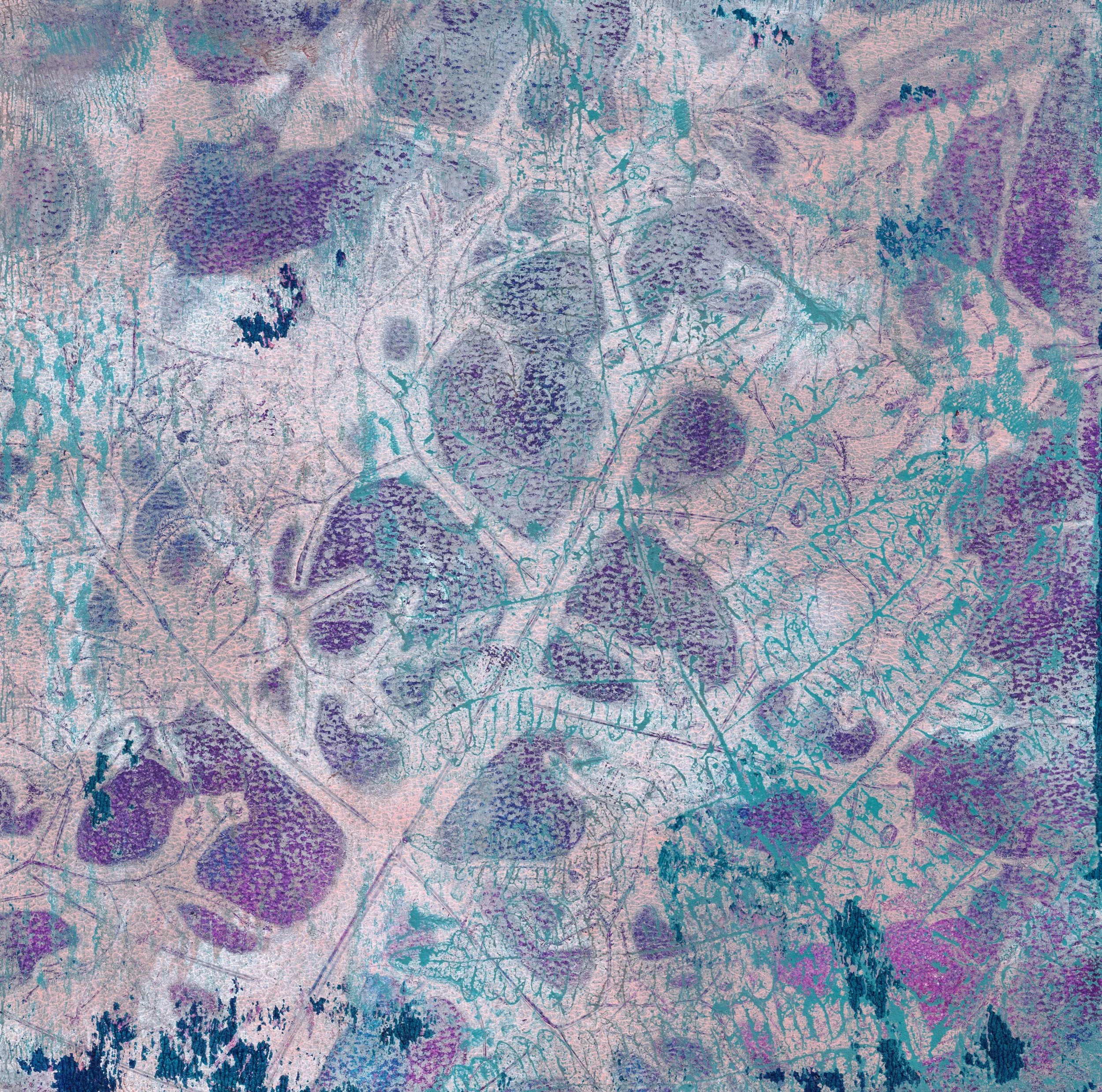 Smokebush print 6x6 Jpg.jpg
