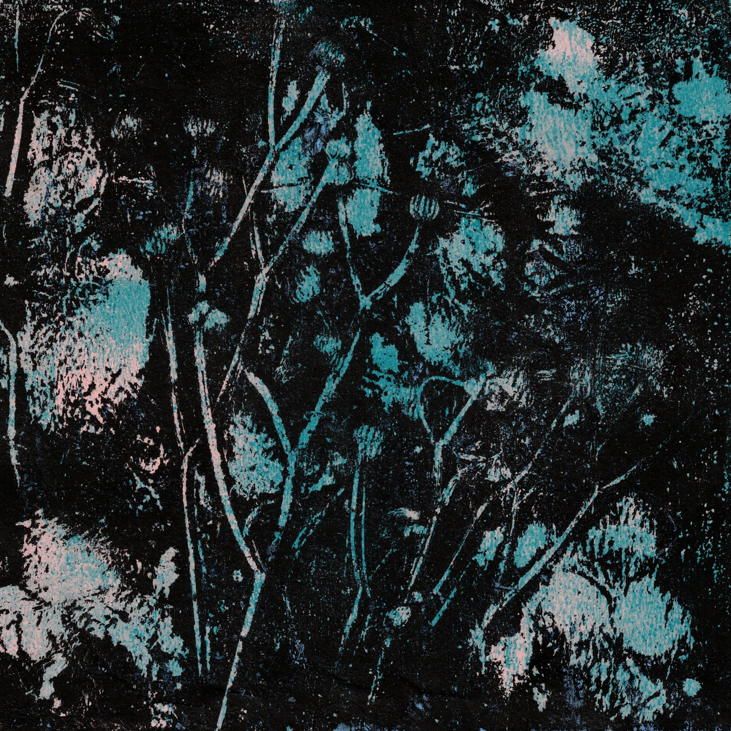 black teal seed flowers.jpg