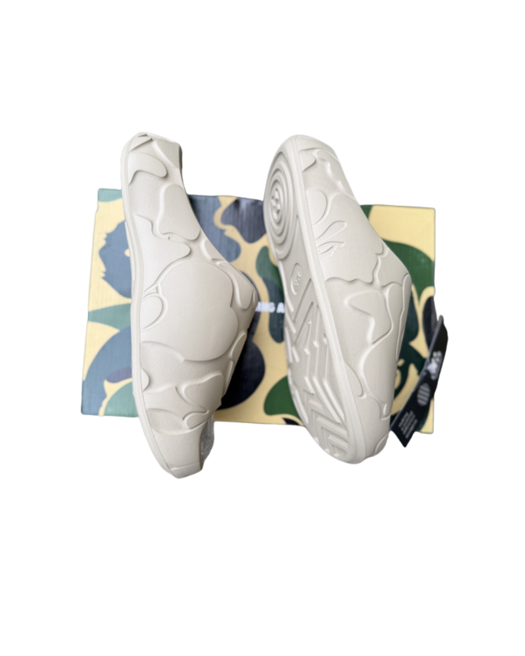 Untitled design (4).png
