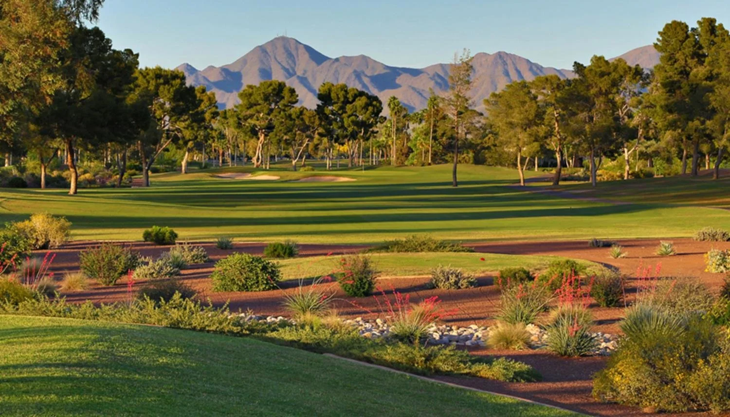 View of McCormick Ranch Scottsdale golf courses with McDowell Mountains in background