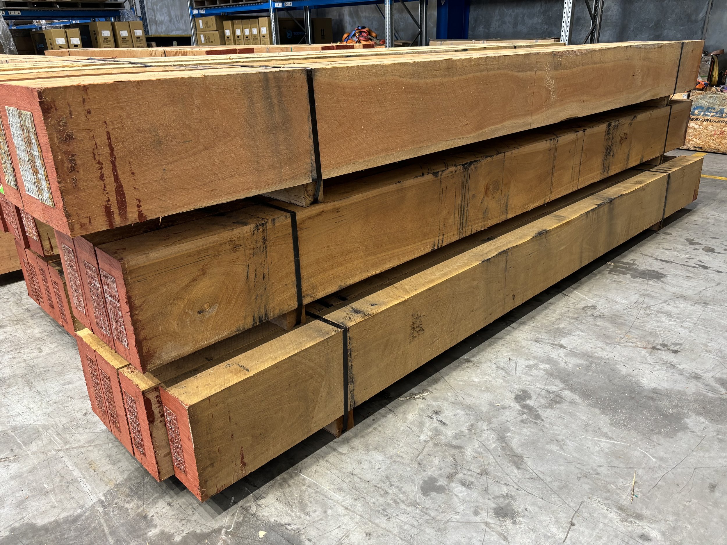IMG_8727.jpeg