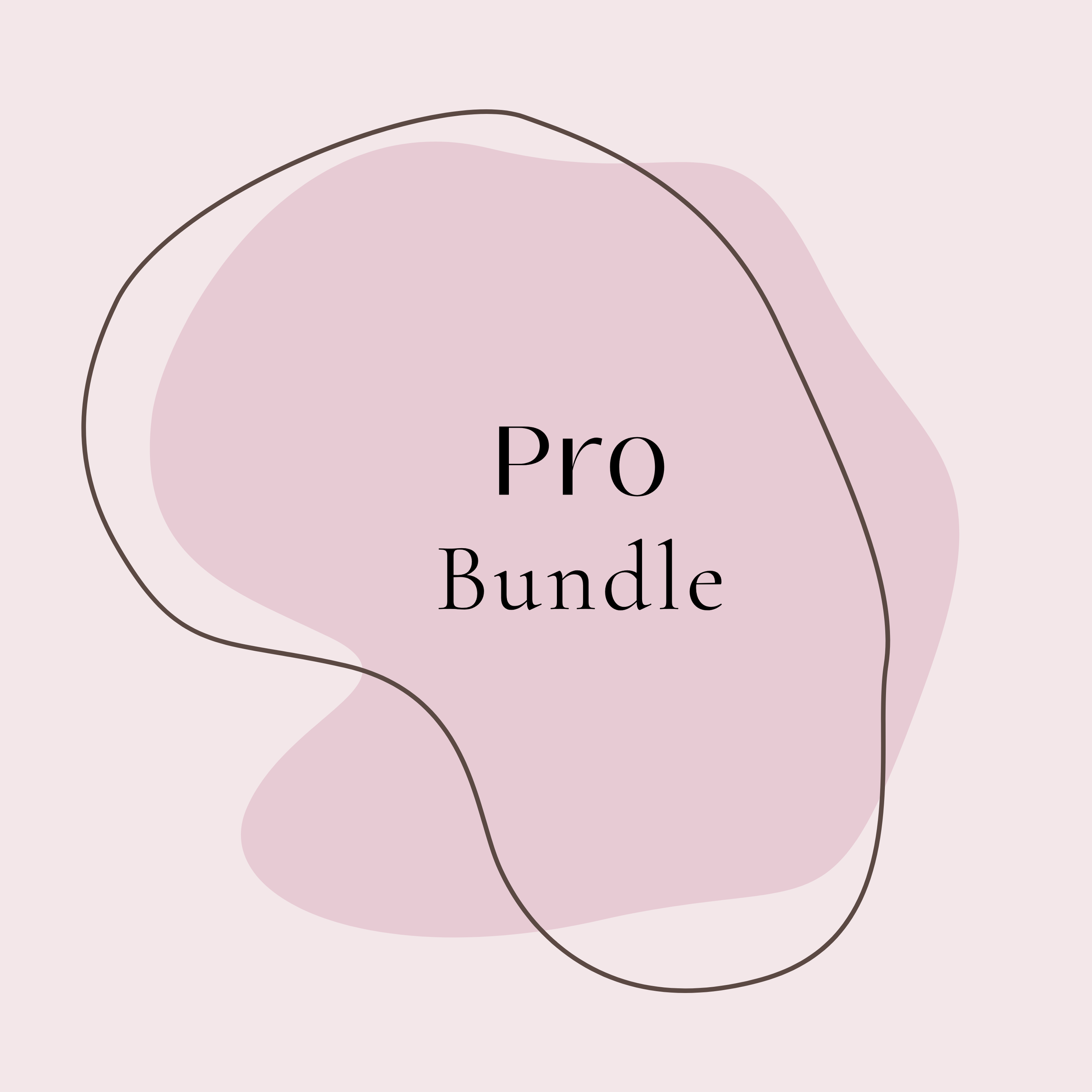 Your All-in-One Pro Career Success Bundle