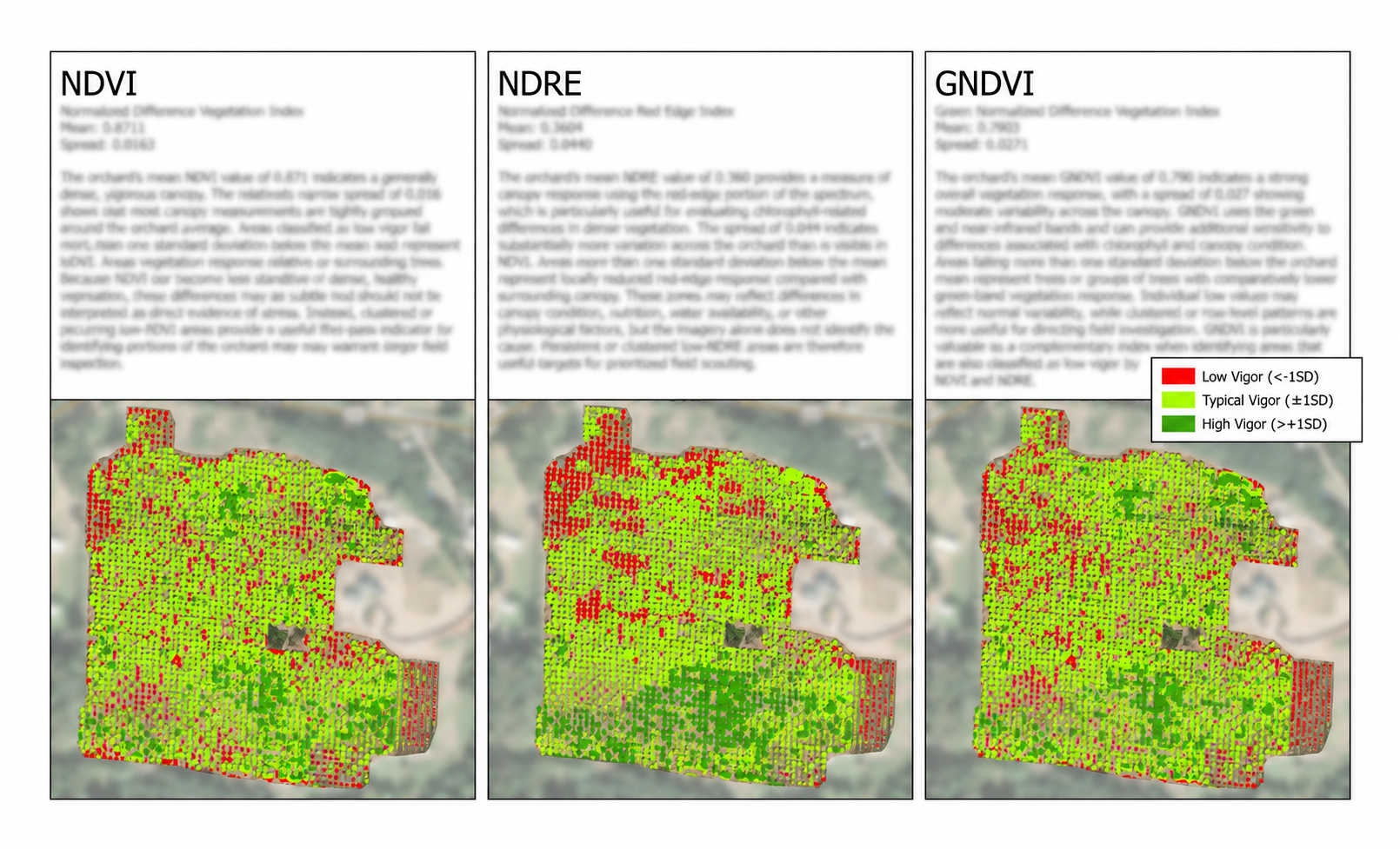 A scientific infographic comparing NDVI, NDRE, and GNDVI vegetation indices, with maps of a land area color-coded by vigor levels. The maps display red, yellow, and green dots indicating low, typical, and high vigor areas, respectively, accompanied by descriptions of these indices and a legend explaining the color codes.