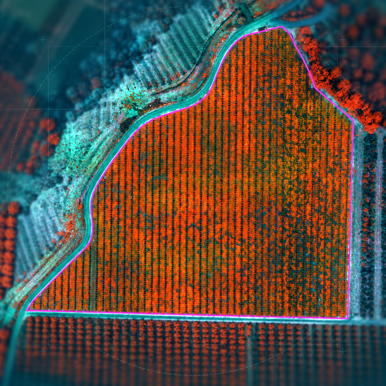 Multispectral False Color Rendering of an orchard demonstrating multispectral capacity to classify and visualize vegetation.