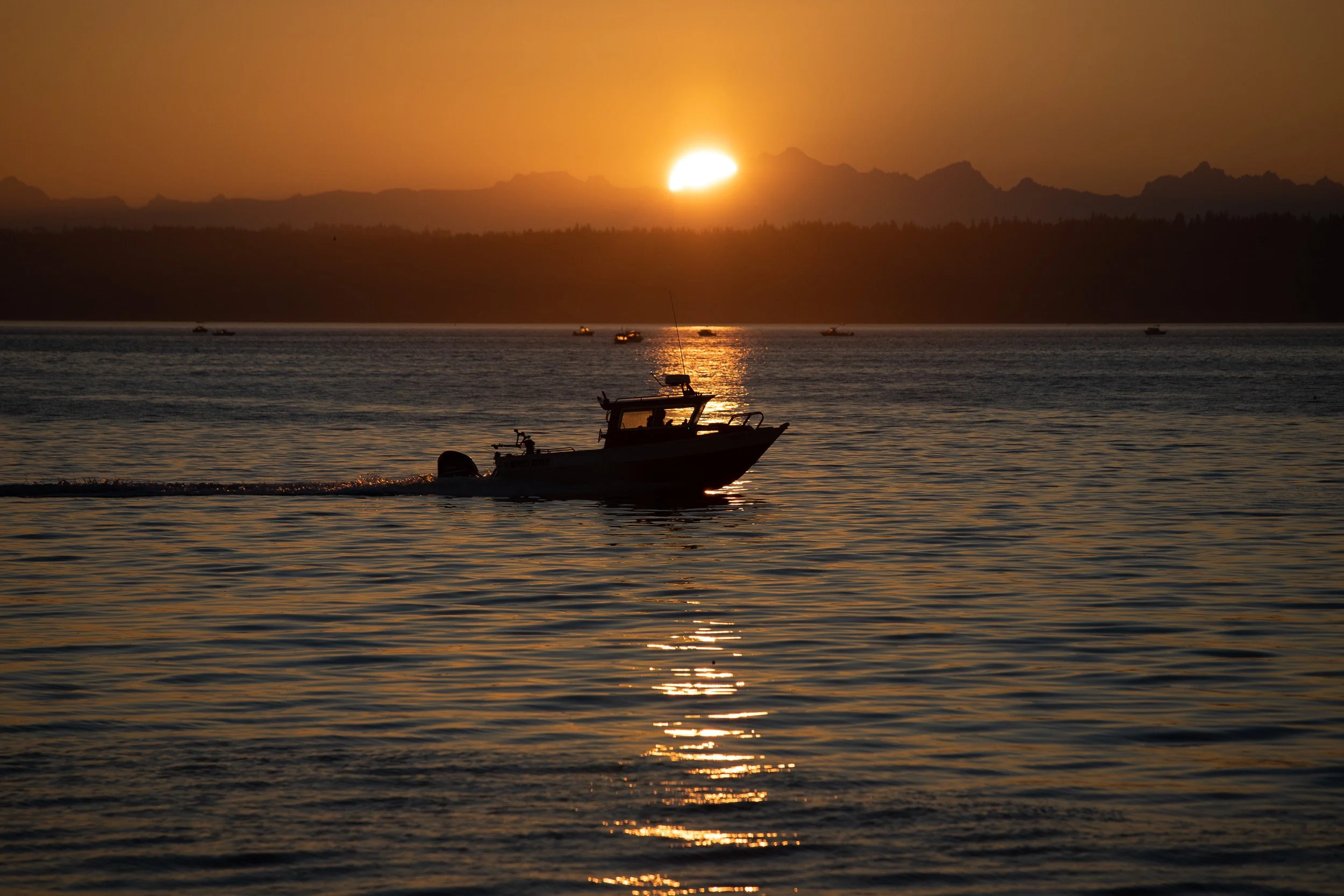 fish the sun.jpg