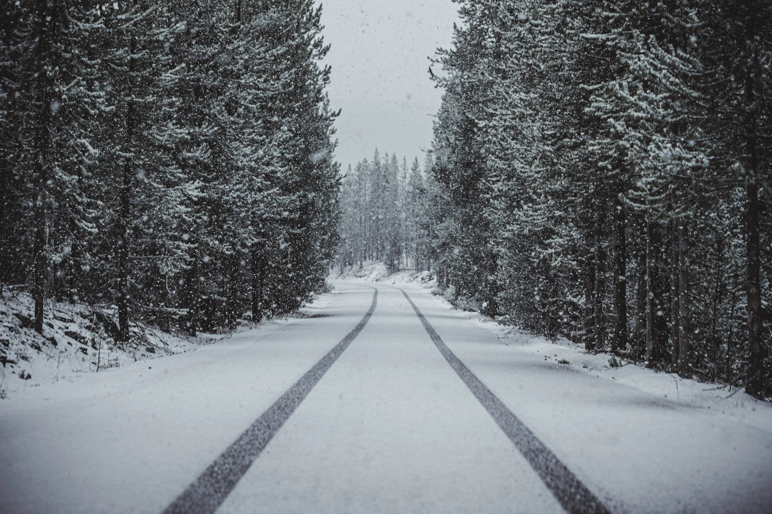 Yellowstone book-15.jpg