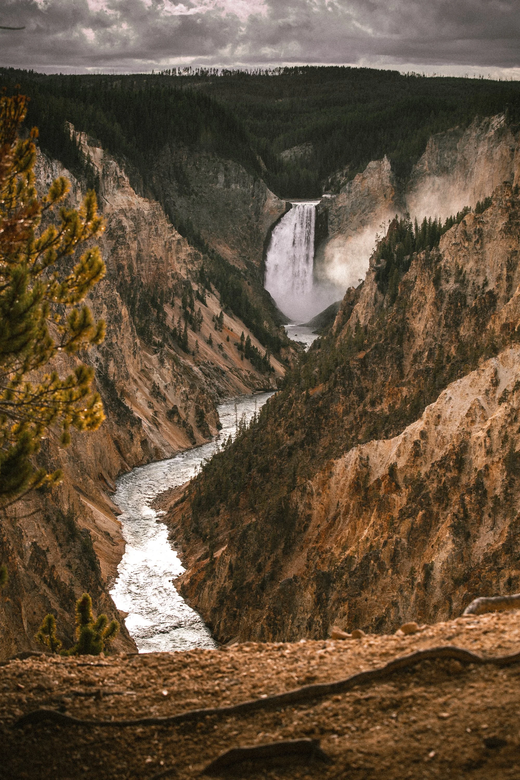 Yellowstone book-9.jpg
