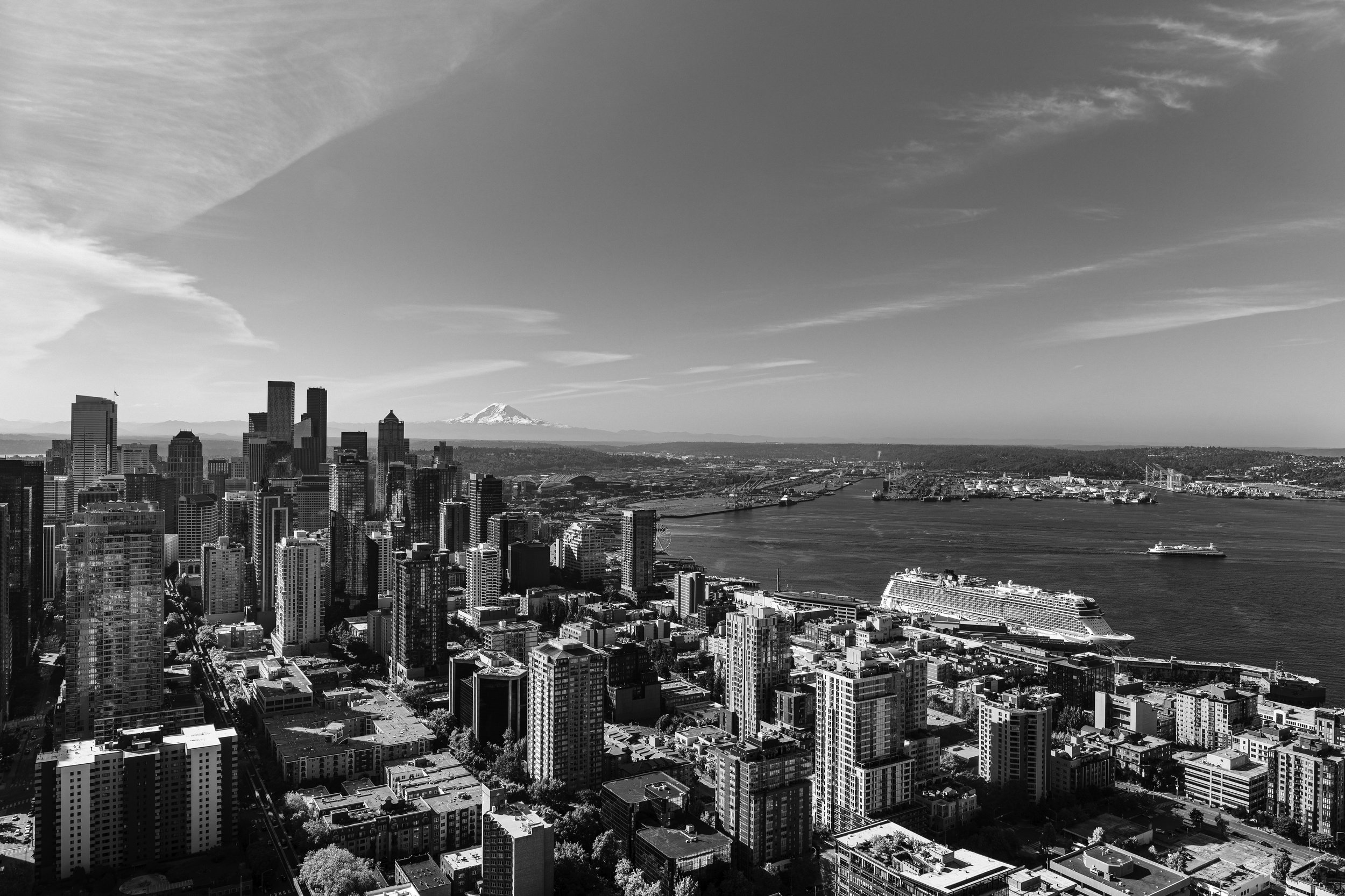A black and white cityscape view featuring tall skyscrapers in the foreground and a body of water with ships, and a mountain in the background.