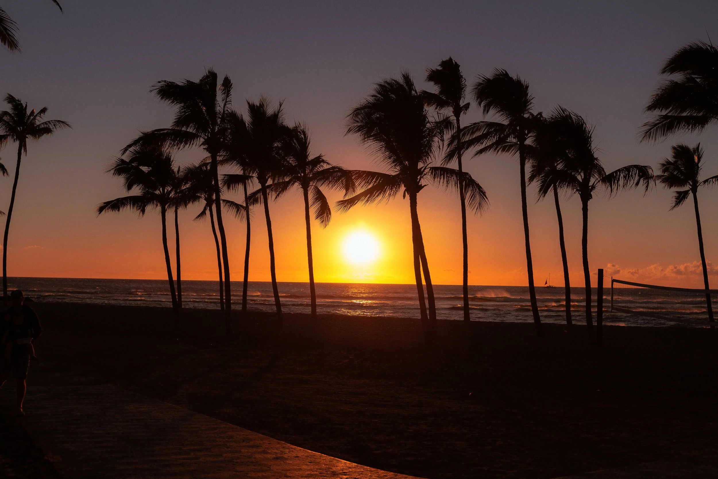 Hawaii website-8.jpg
