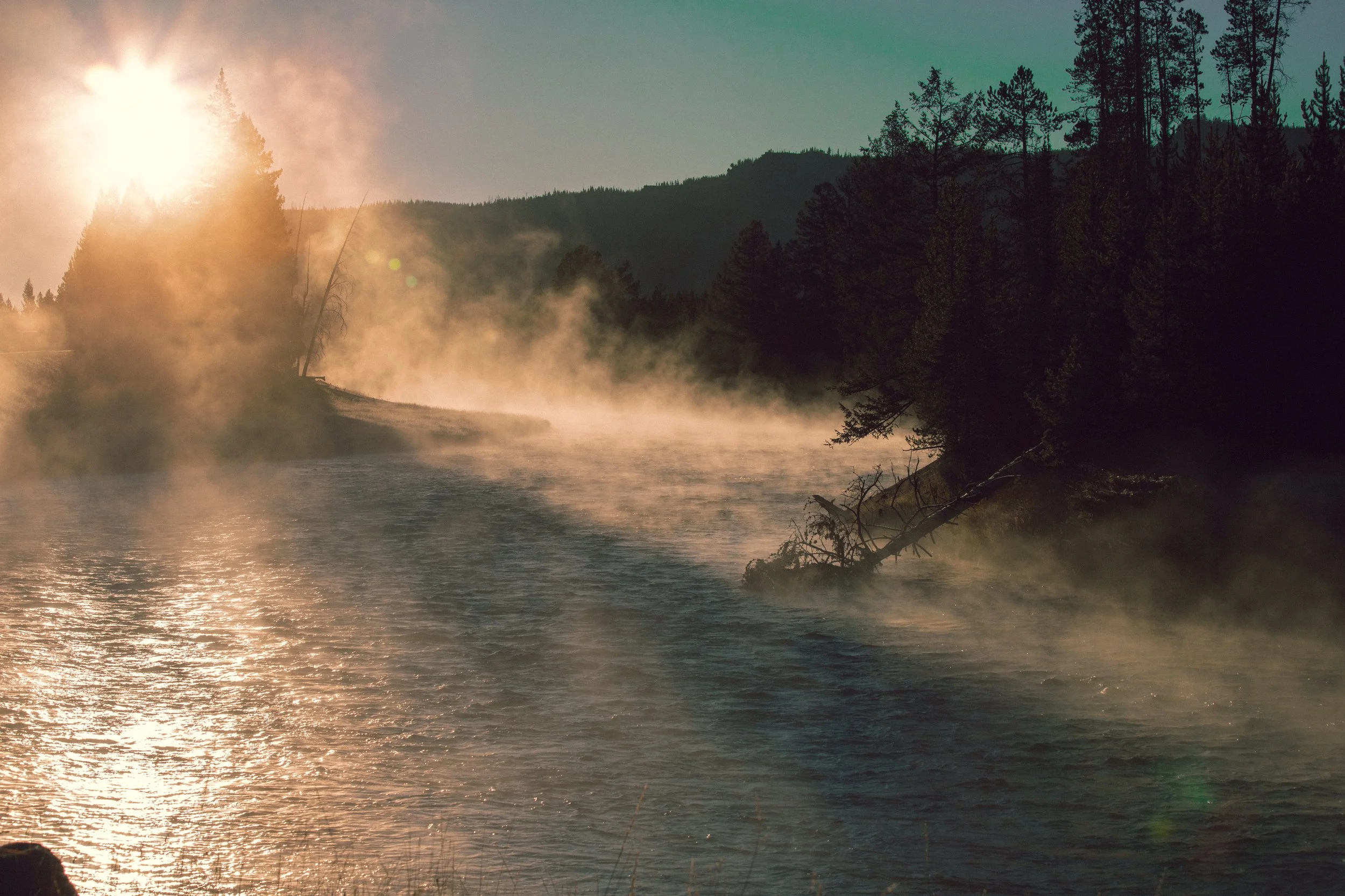 Yellowstone book-28.jpg