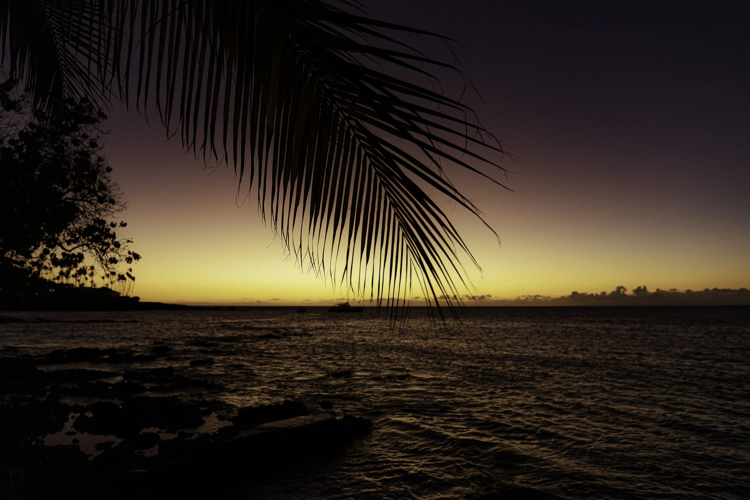 Website hawaii.jpg