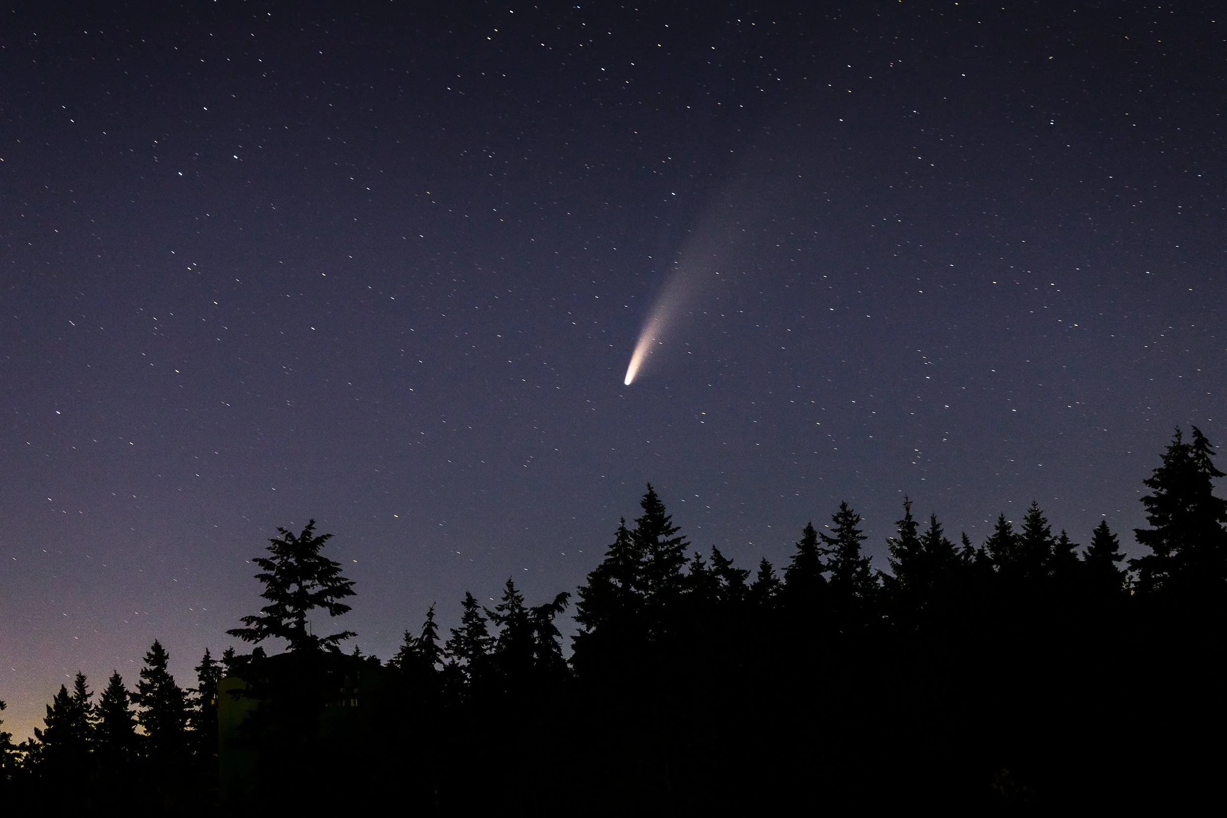 Neowise 2.jpg