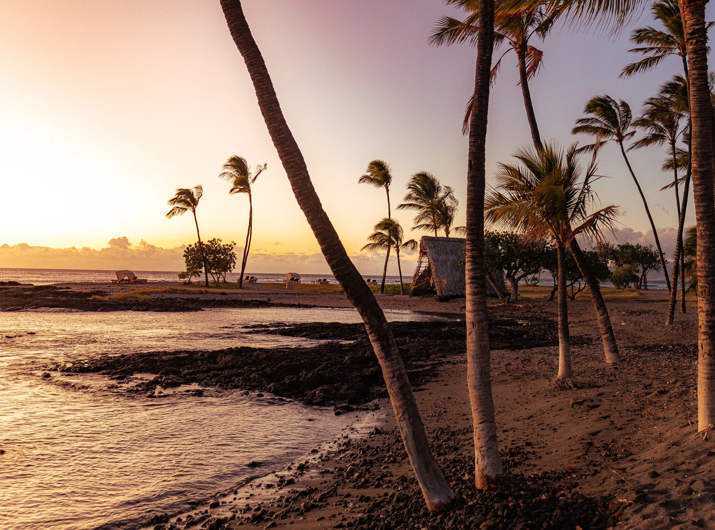 Hawaii website-9.jpg