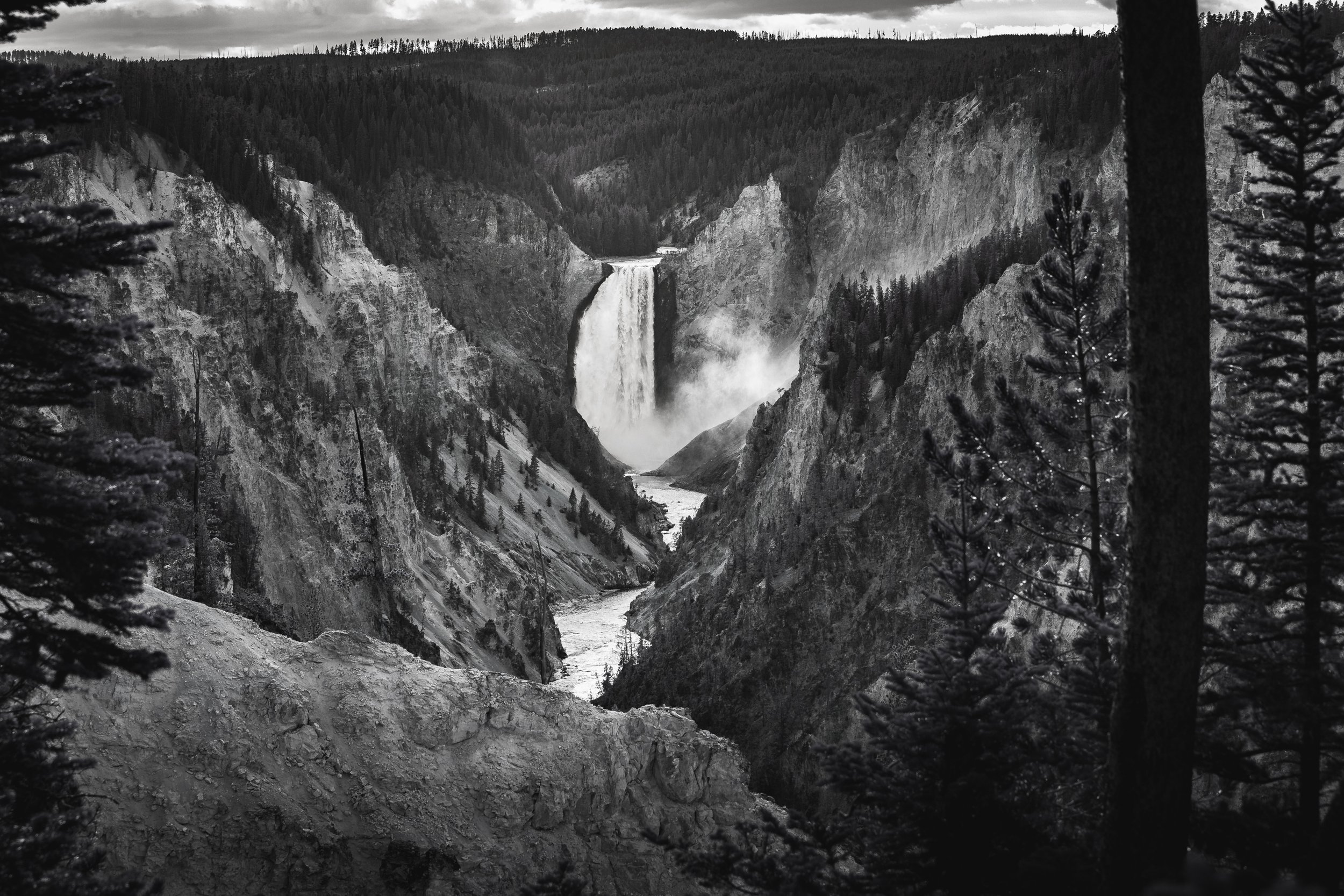 Yellowstone book-8.jpg