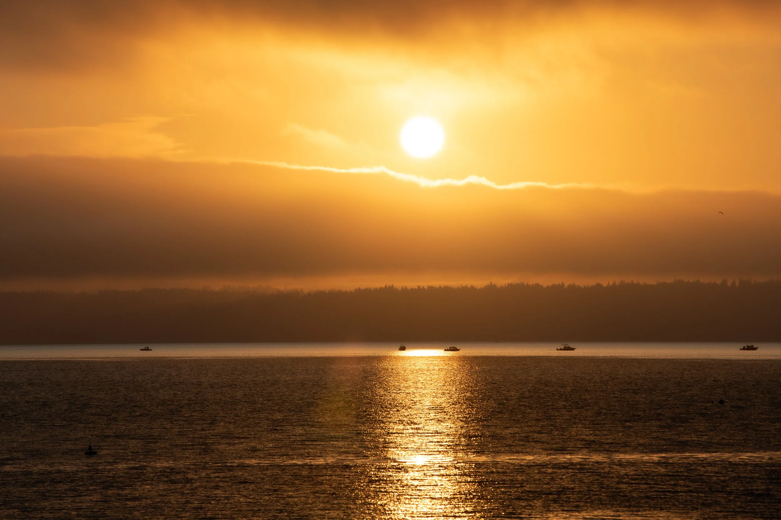 Golden hour-2.jpg