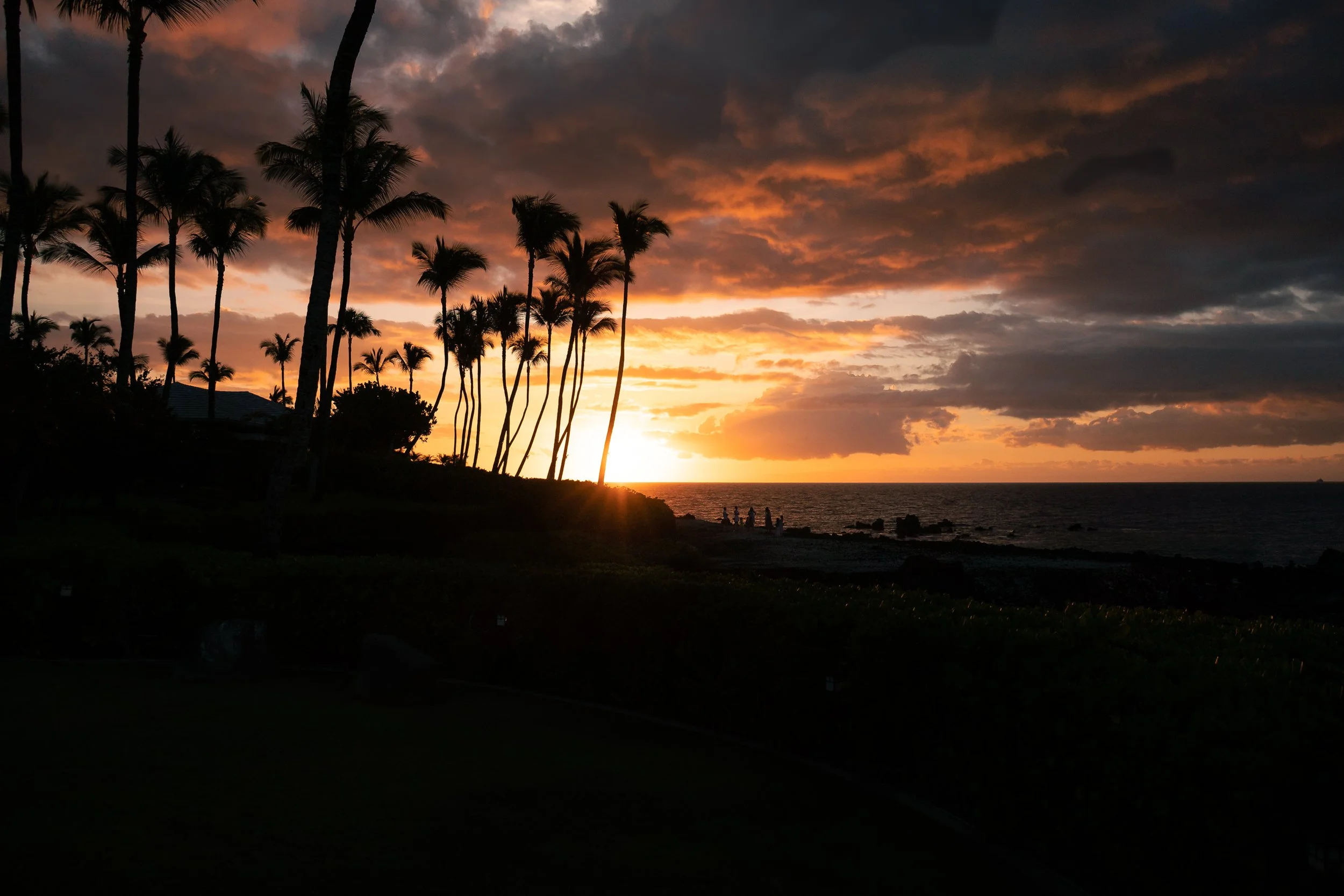 Hawaii website.jpg