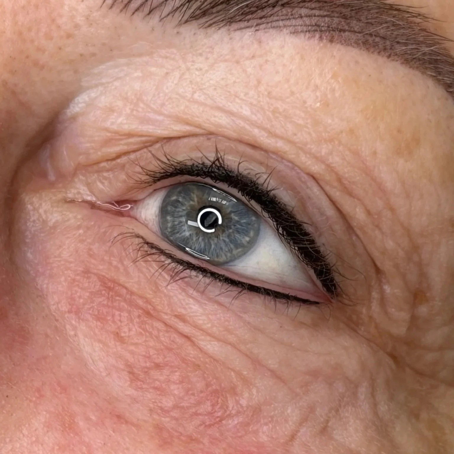 Close-up of a human eye with a blue iris and black eyelashes, surrounded by wrinkled, fair skin.
