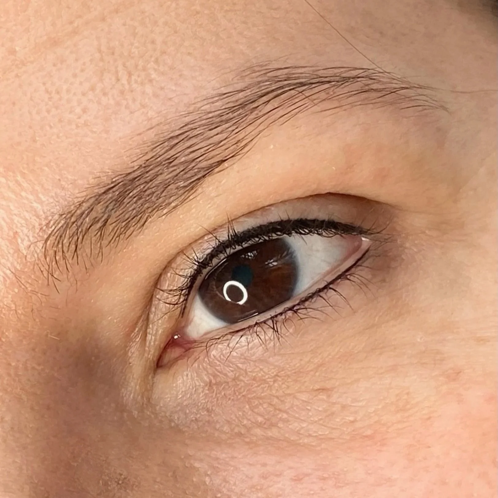 Close-up of a brown eye with detailed eyelashes and eyebrow, and reflected light in the iris.