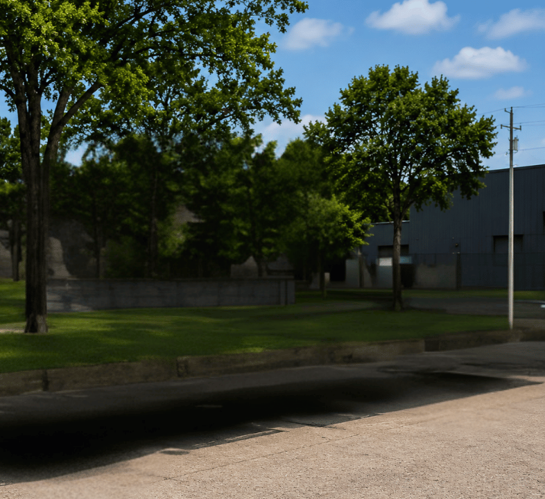A sunny day street scene with trees, grass, a building, and a power pole, with shadows cast on the sidewalk.