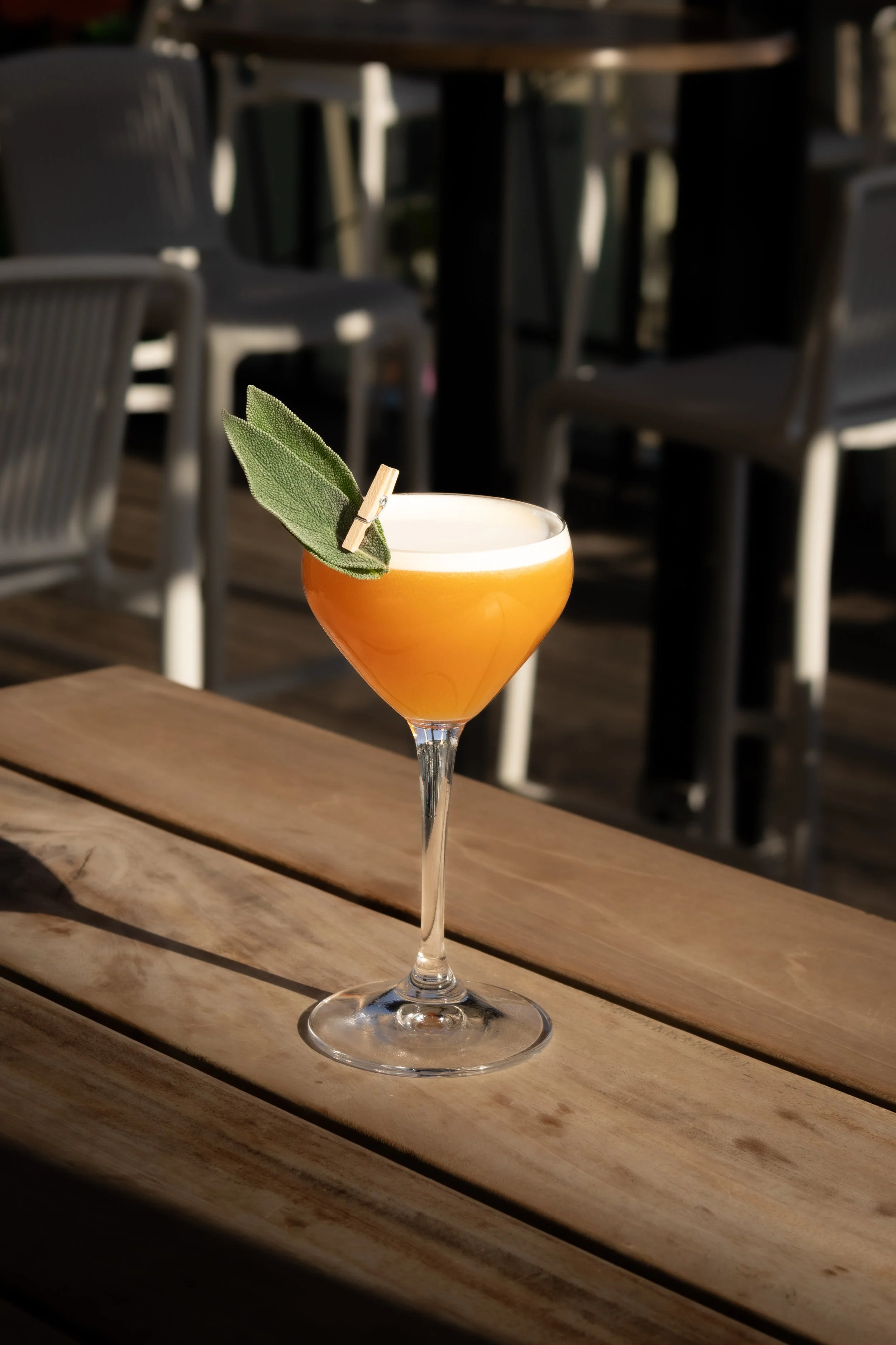 A rum sour, served in a coupe & garnished with 2 sage leaves at golden hour.