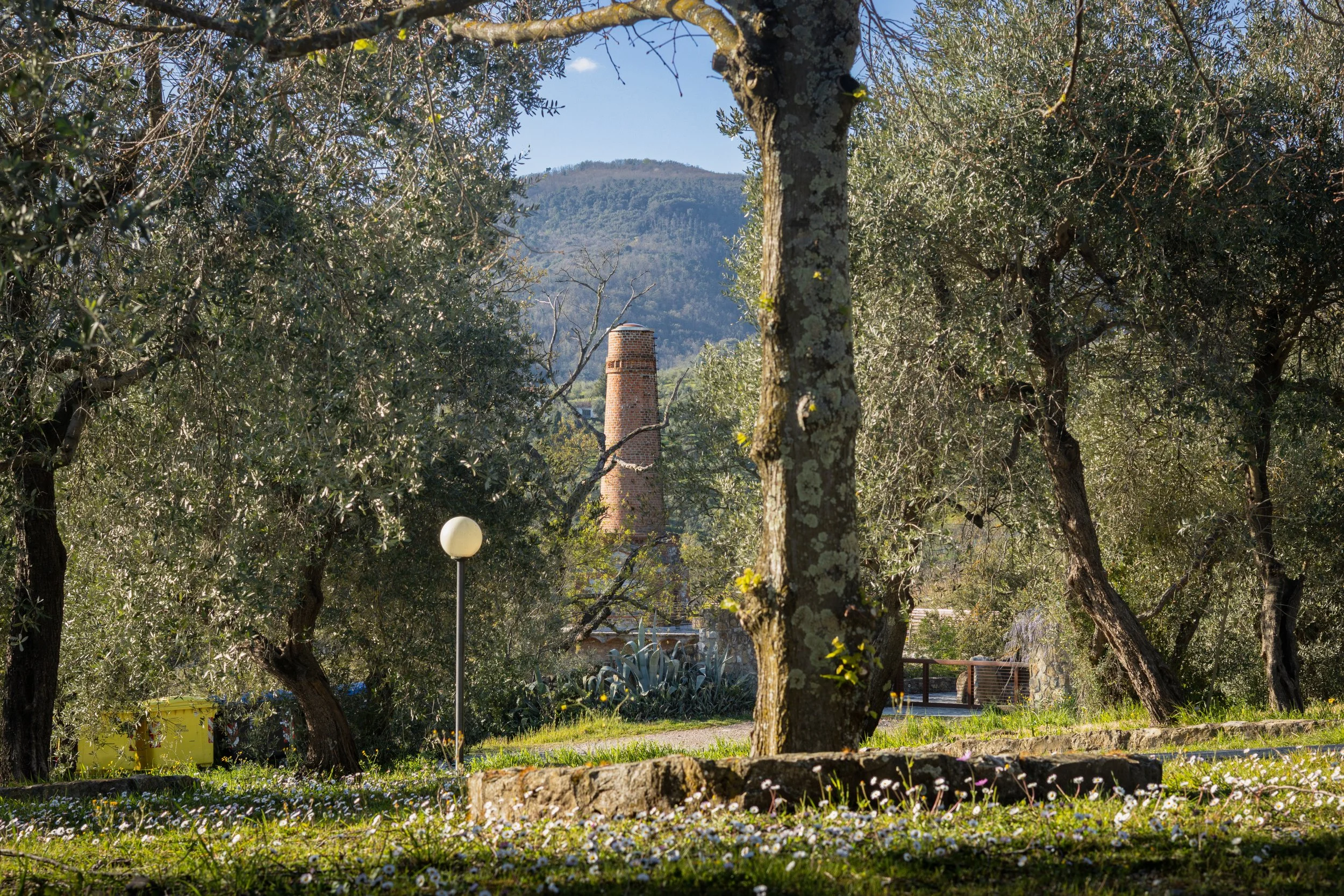 Tuscan summer countryside.