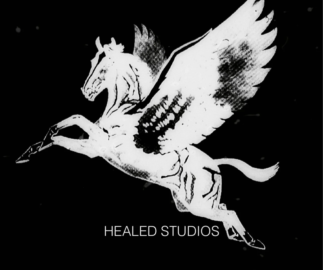 HEALED STUDIOS 