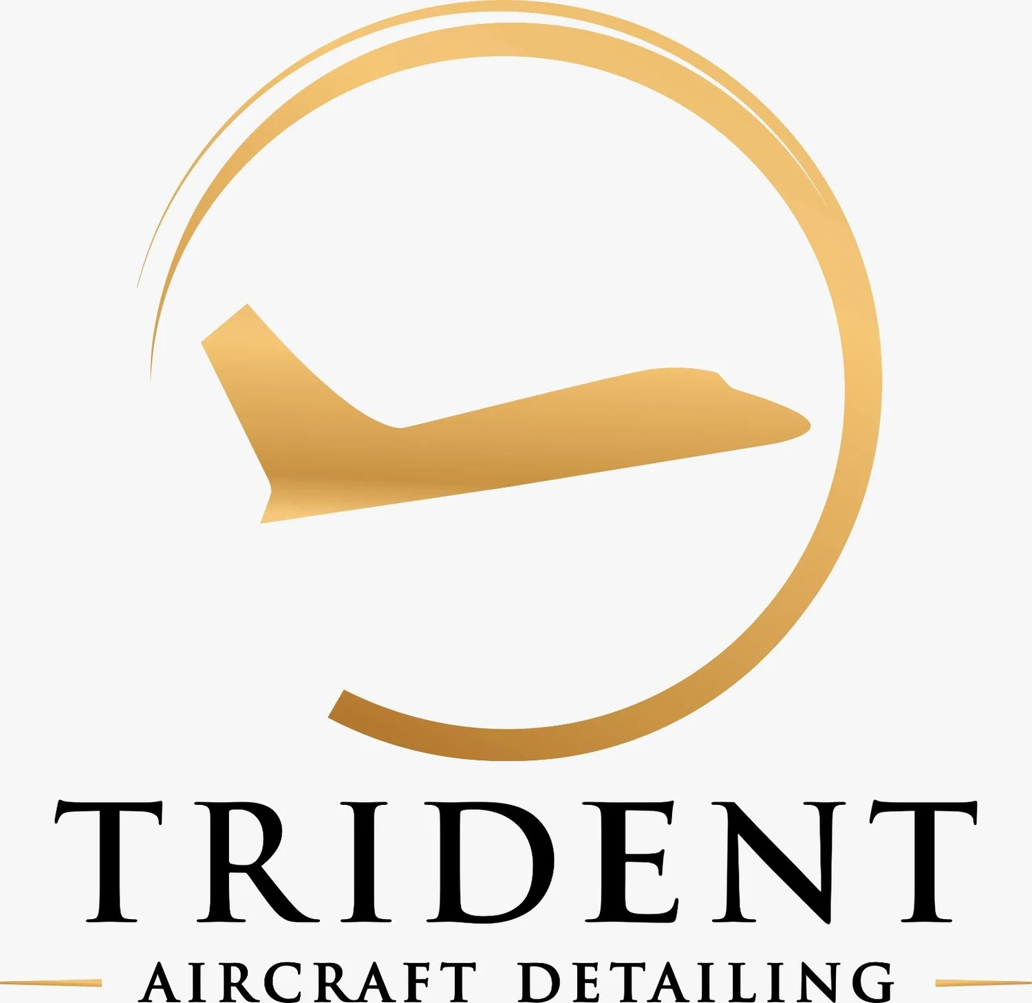 Trident Aircraft Detailing Veteran Owned &amp; Operated 