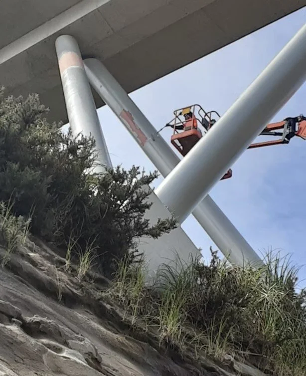 Pukeko Bridge Legs, Auckland