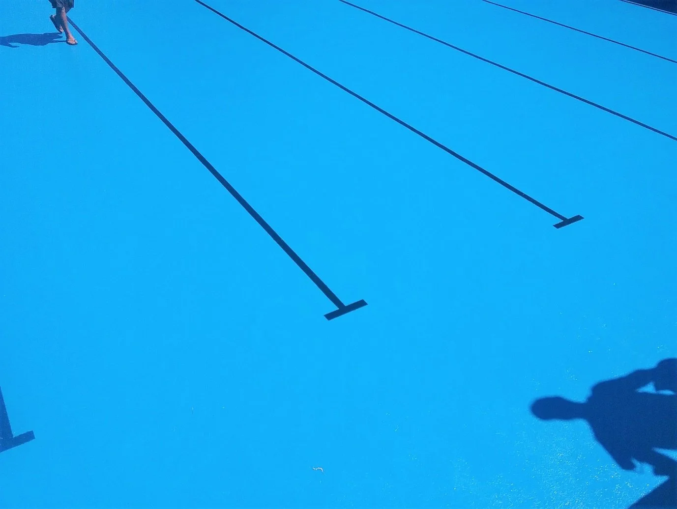 Auckland Normal Intermediate Pool