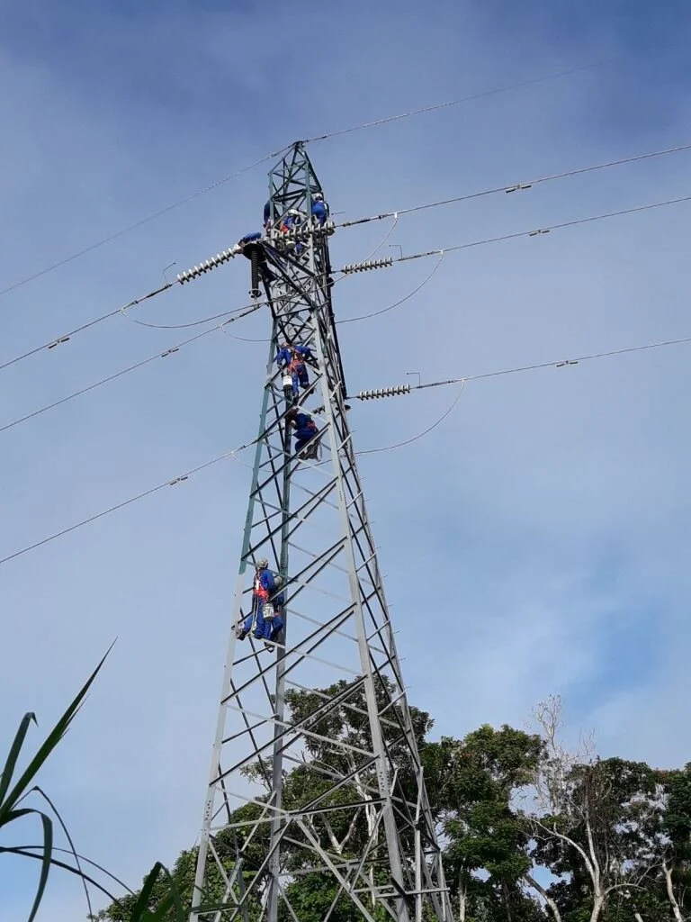 Fiji 2019 - 2026 overview Fiji.jpg