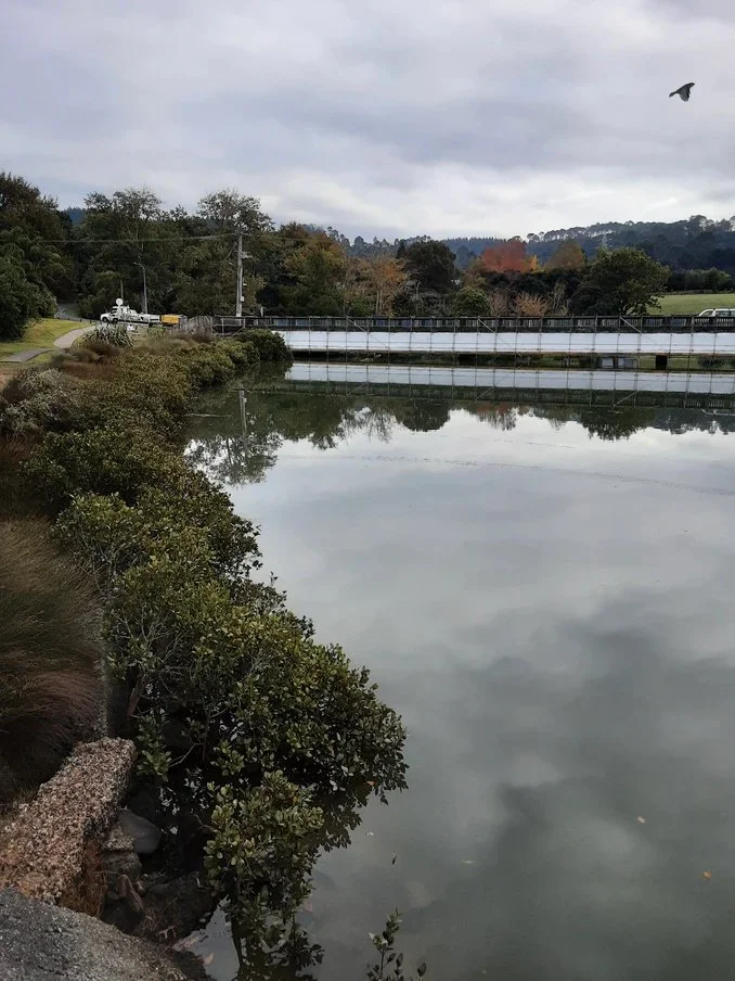 Murray Jones Reserve, Auckland