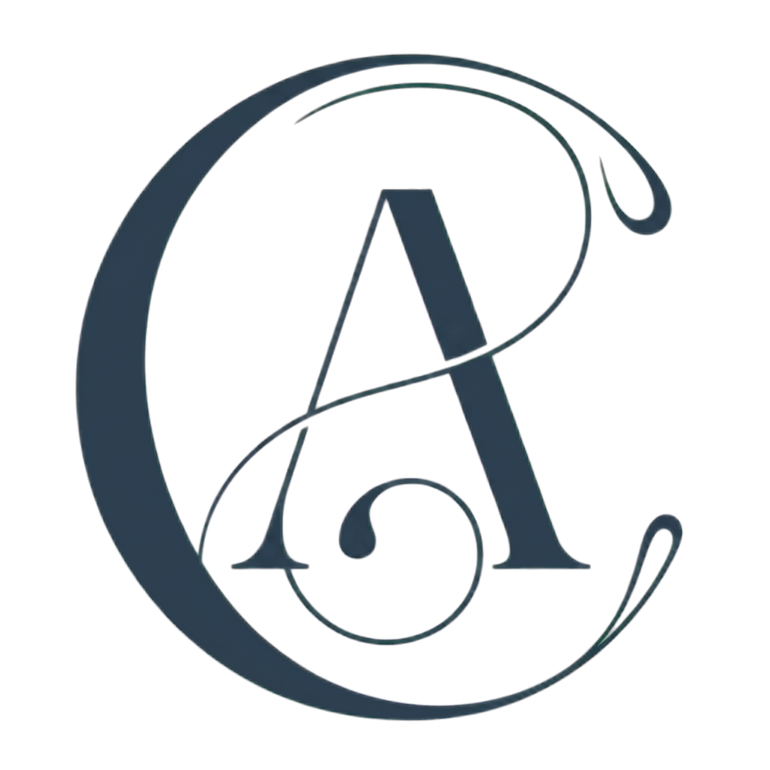 Artfully Coded Studio