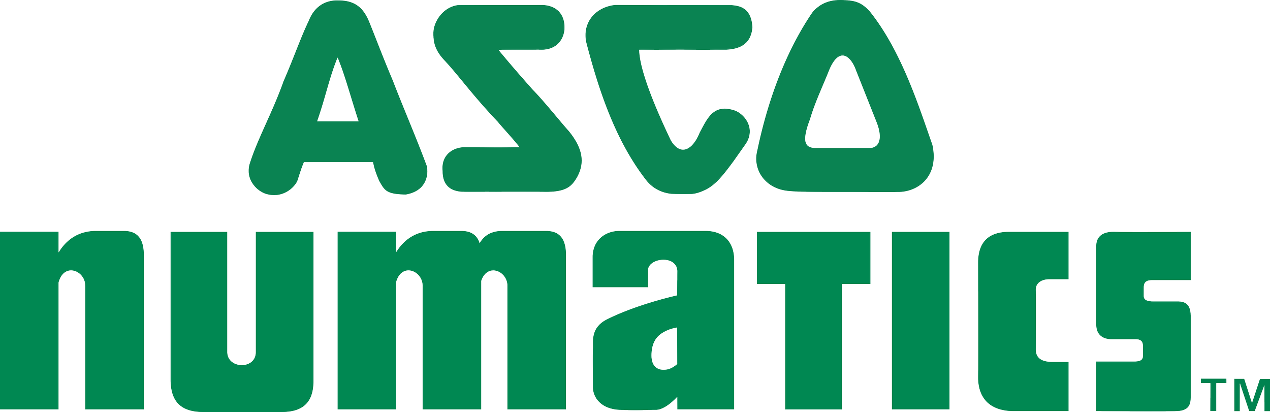 The logo of Asia Illuminated with the word 'Asia' in stylized green letters above the word 'Illuminated' in bold green letters.