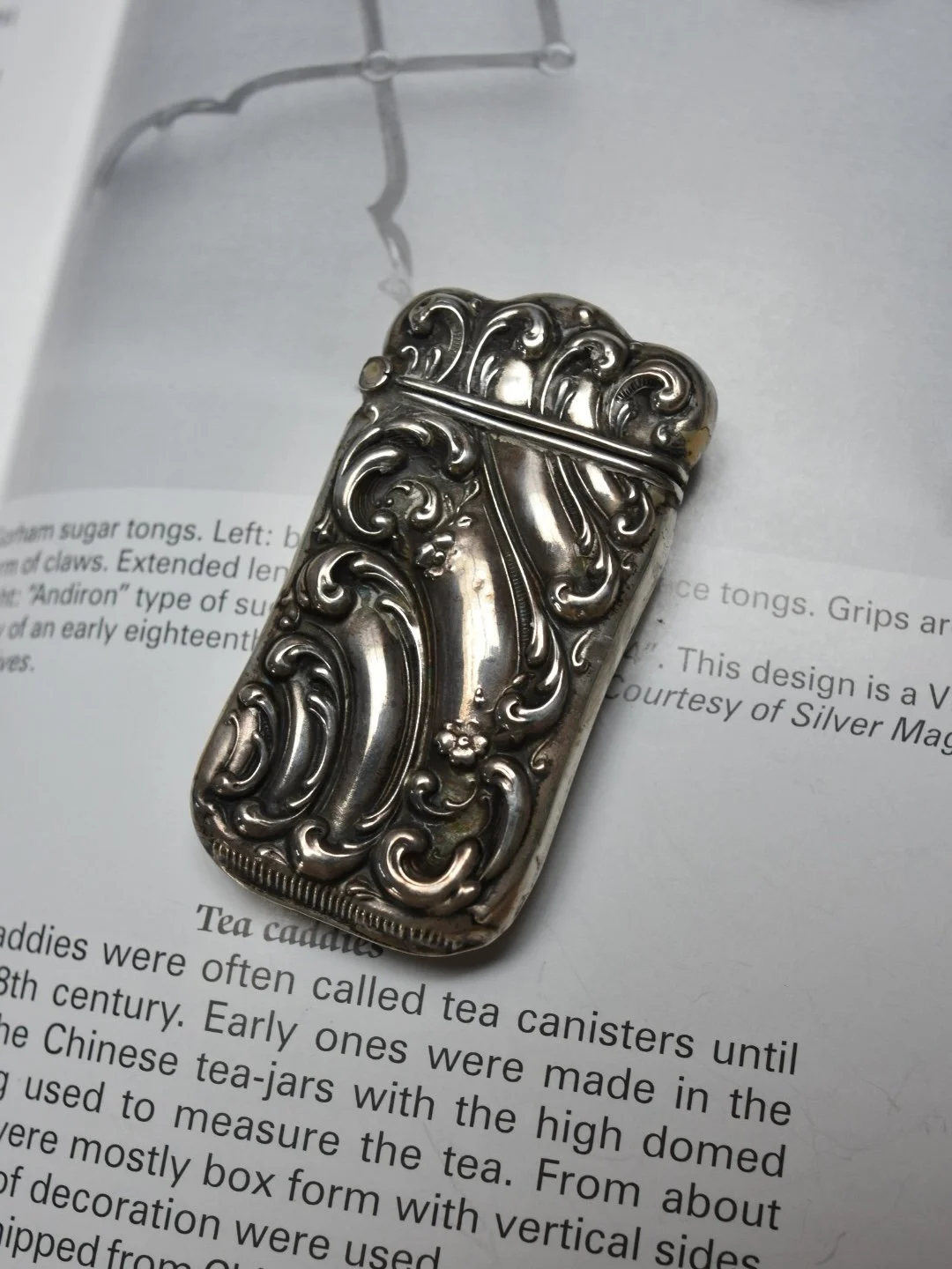Antique Art Nouveau era sterling silver repoussé fern and florals match safe