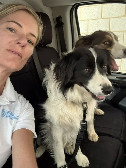 Woman taking a selfie with two dogs in a vehicle. The dogs are sitting on the front passenger seat, one primarily black and white with a leash, and the other brown and white with its mouth open.