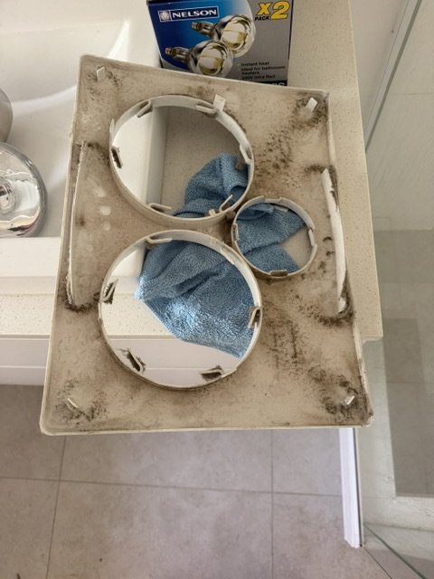 A dirty, dusty bathroom light and fan cover before cleaning