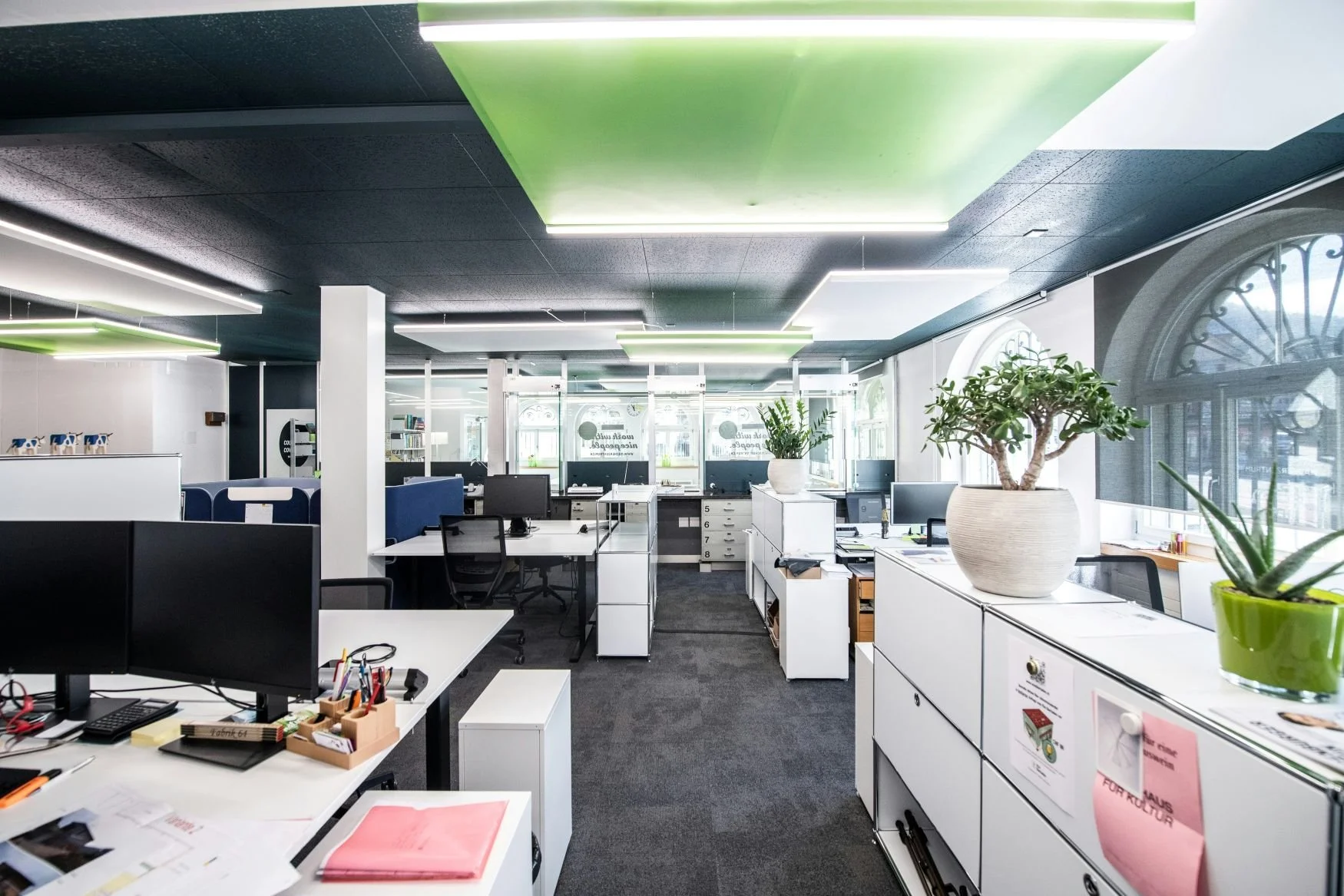 Open-plan modern office with desks, computers, potted plants, and large windows showing an urban street view.
