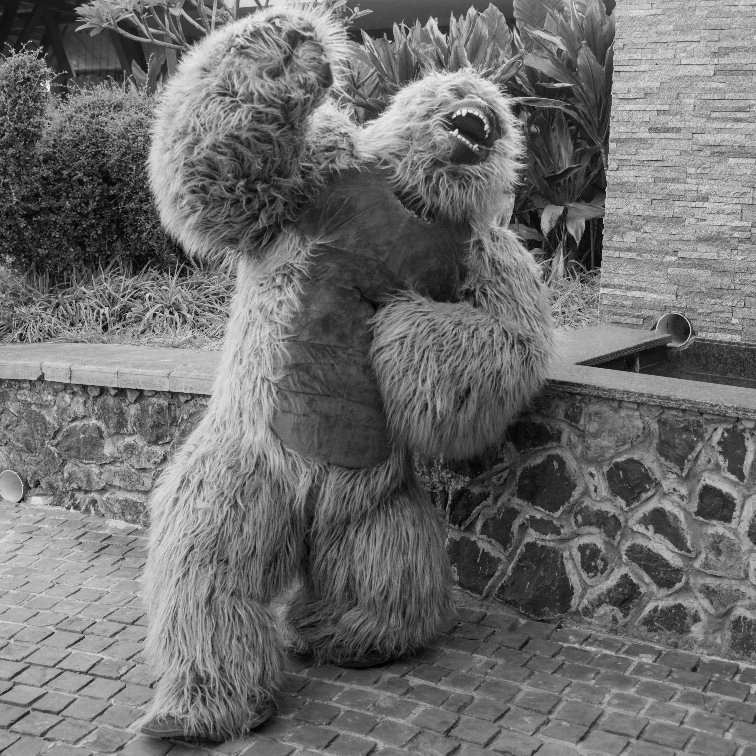 A person dressed in a furry monster costume with a large open mouth, showing teeth, and long shaggy fur, sitting outdoors on a brick pathway next to a stone wall and bushes.