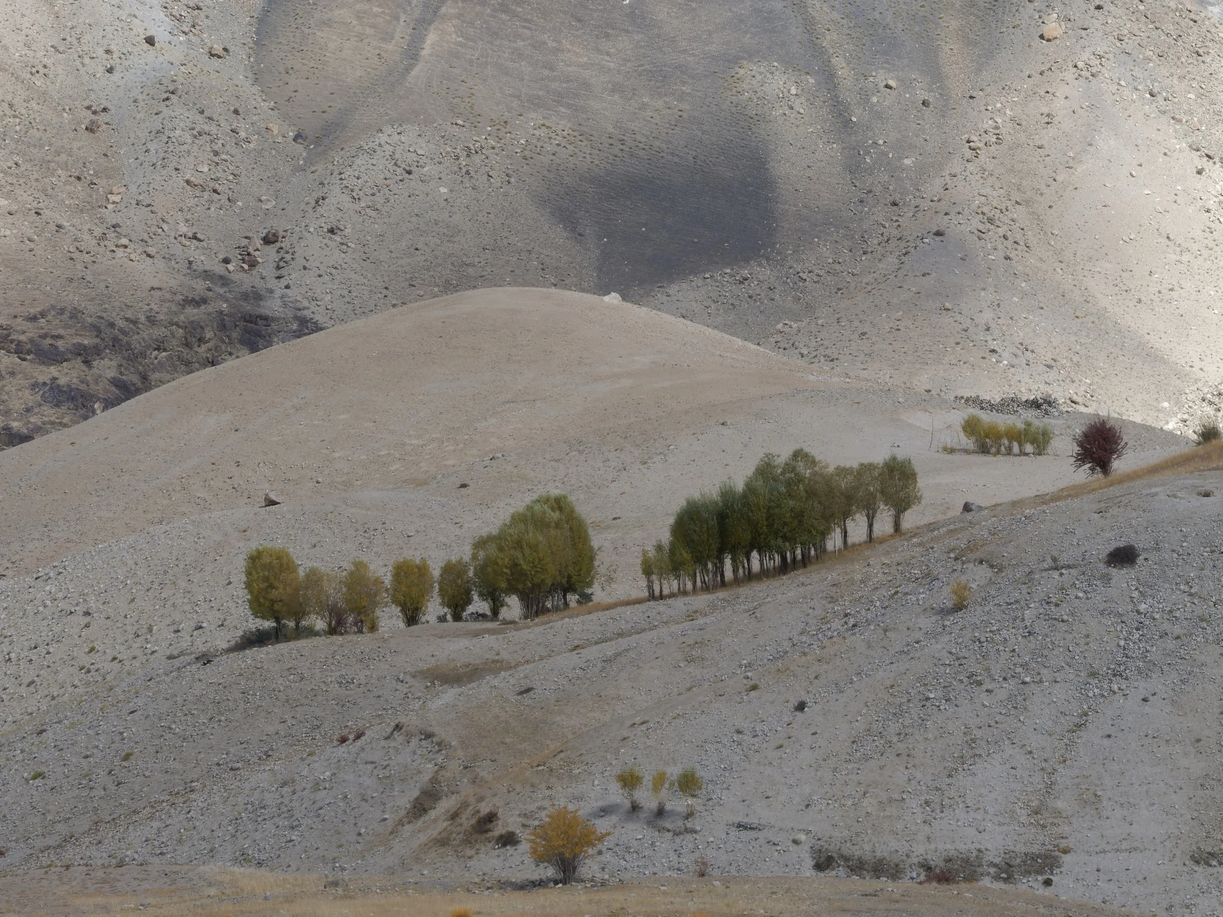 Landscape