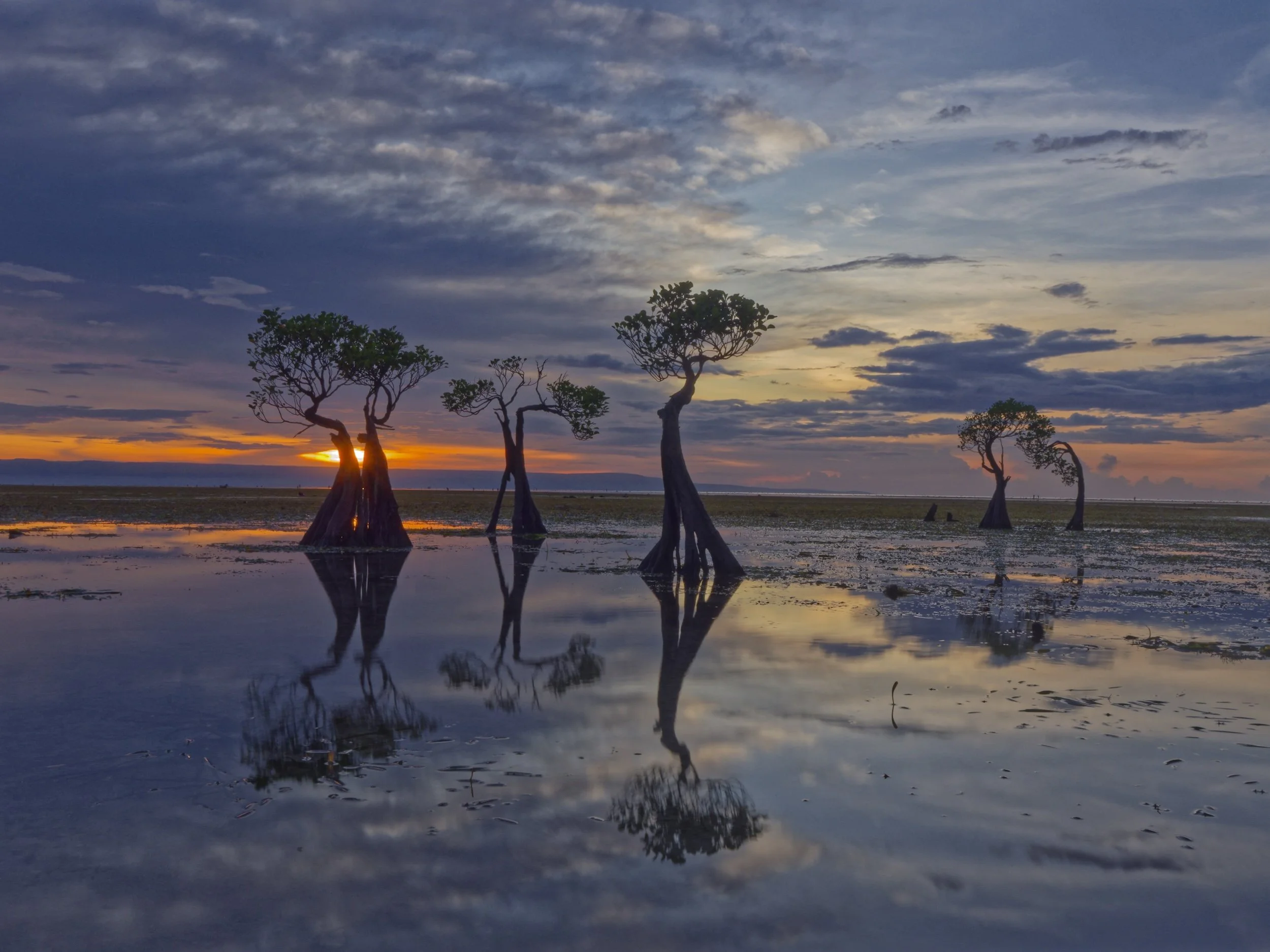 Seascape