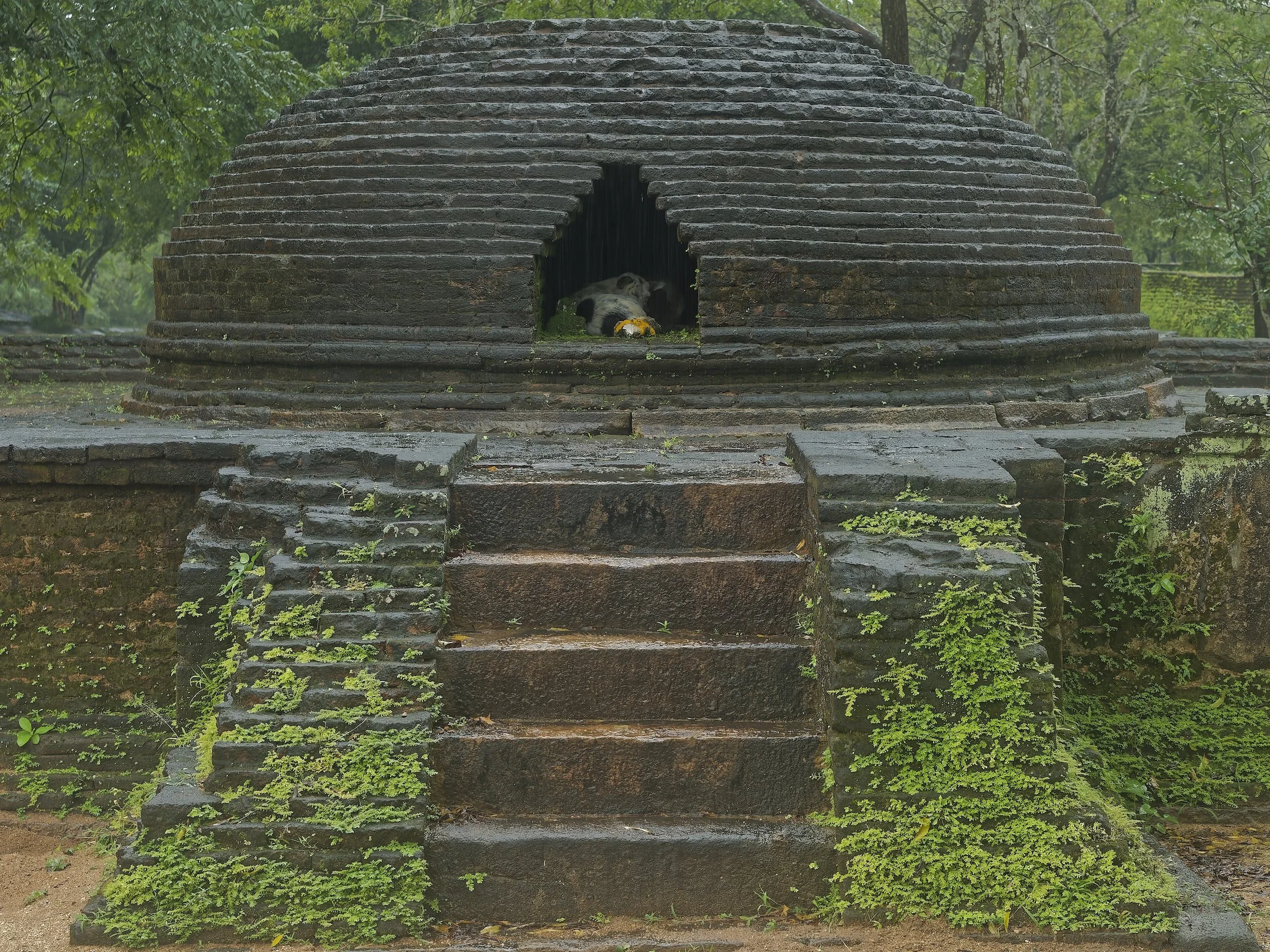 Sri Lanka