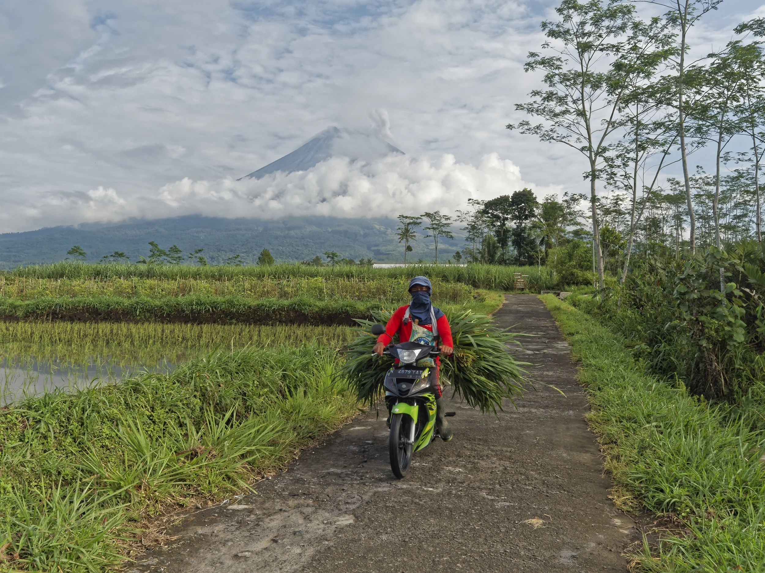 Indonesia