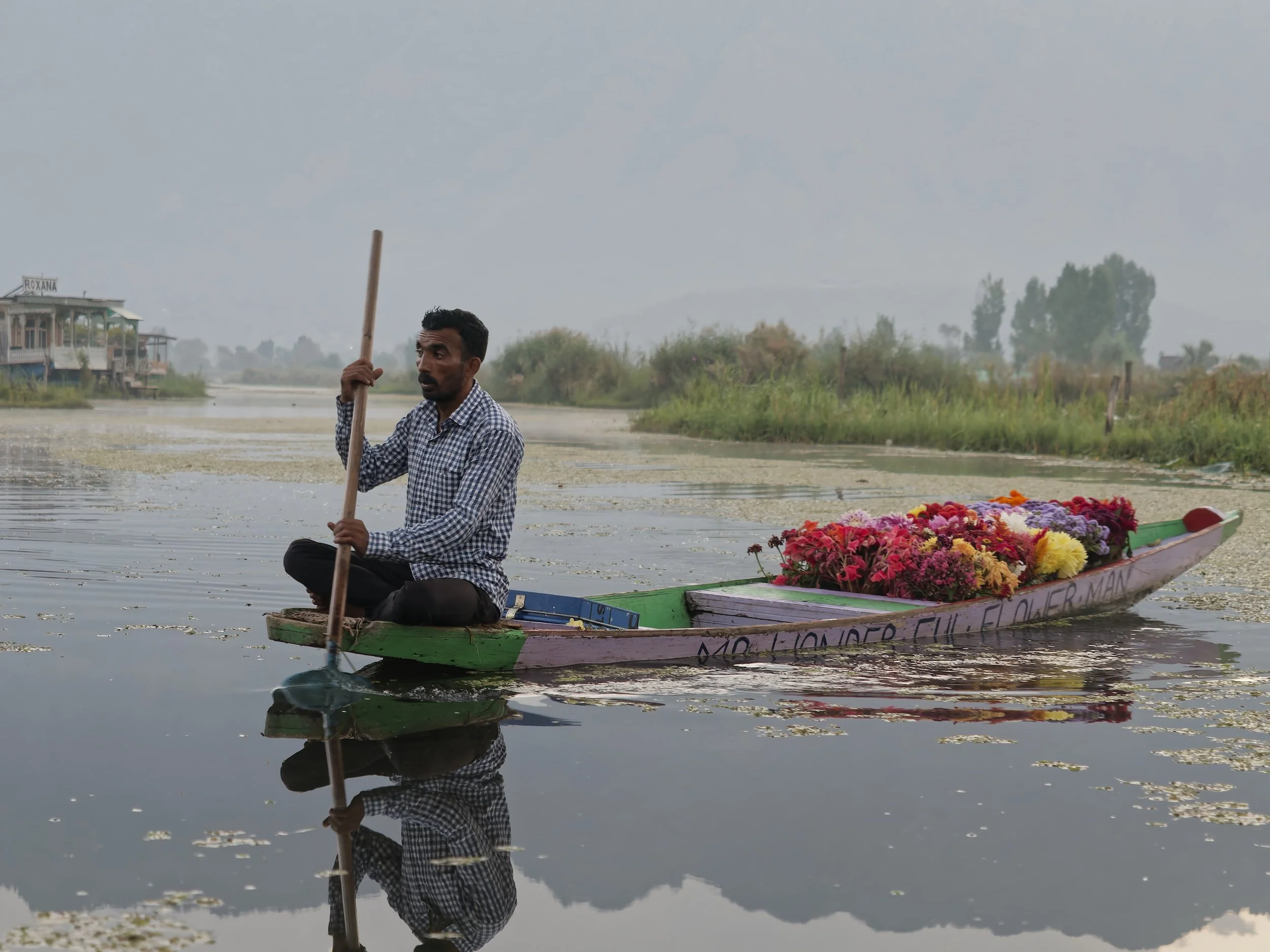 India