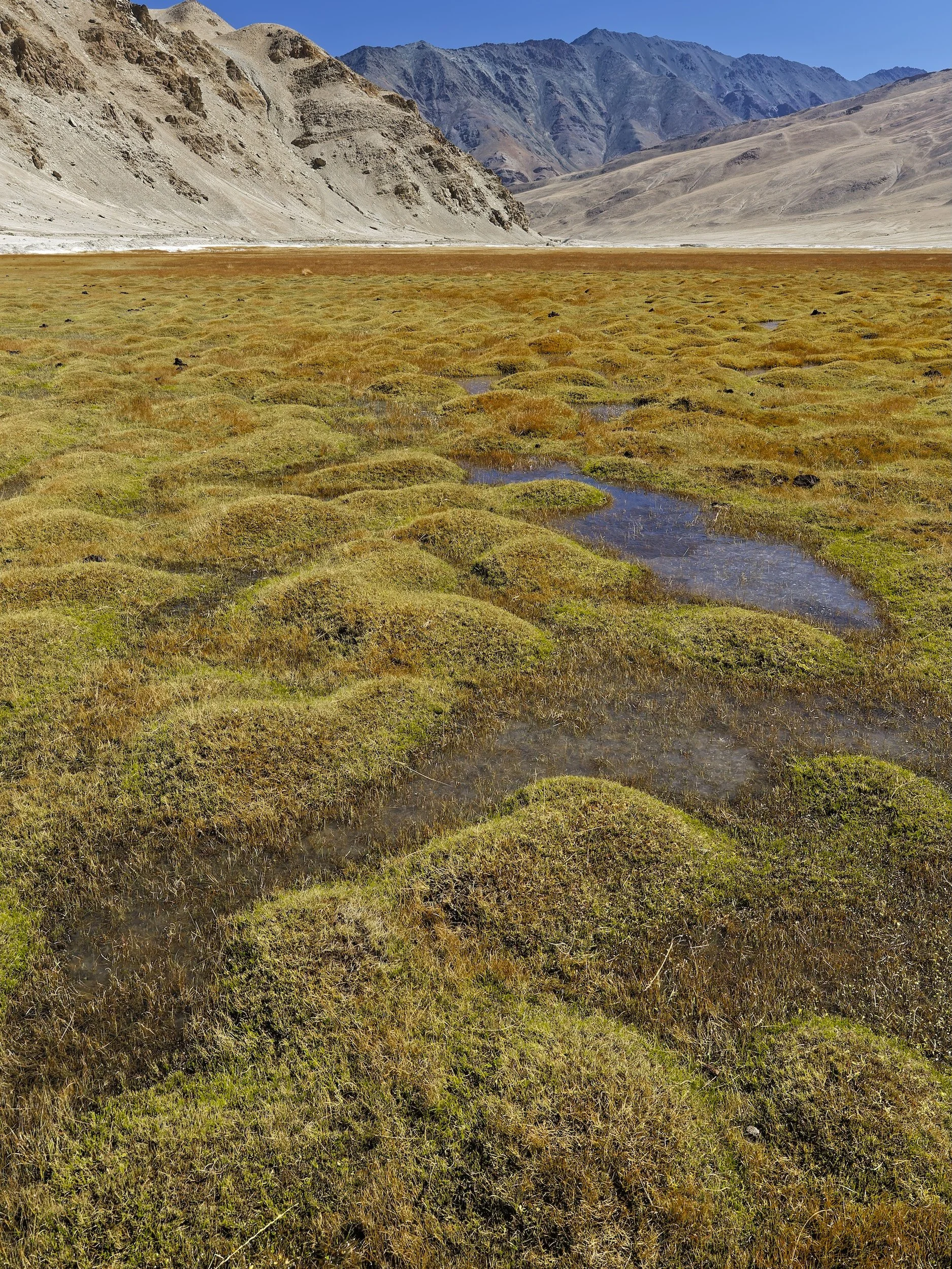 Landscape