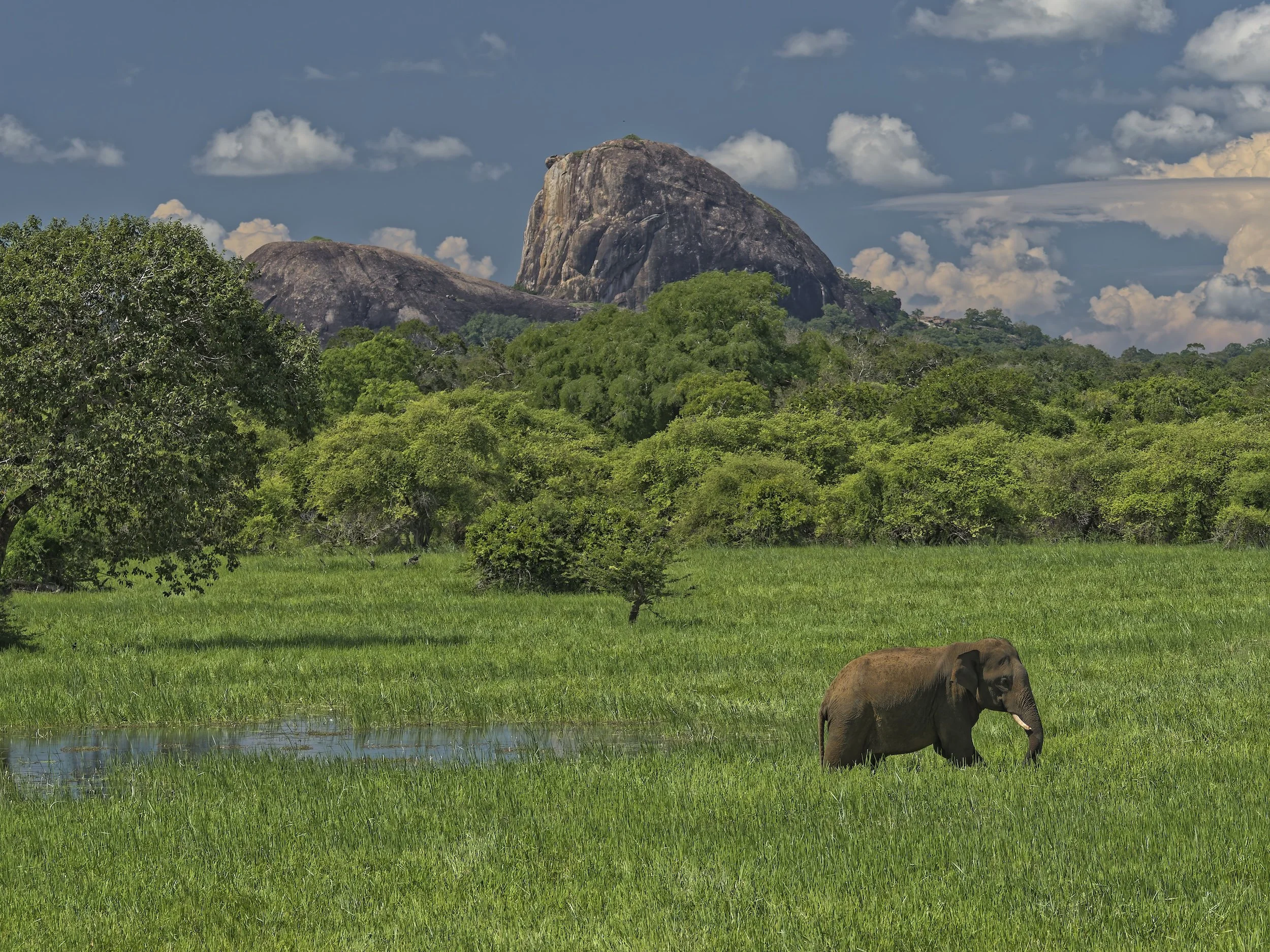 Sri Lanka